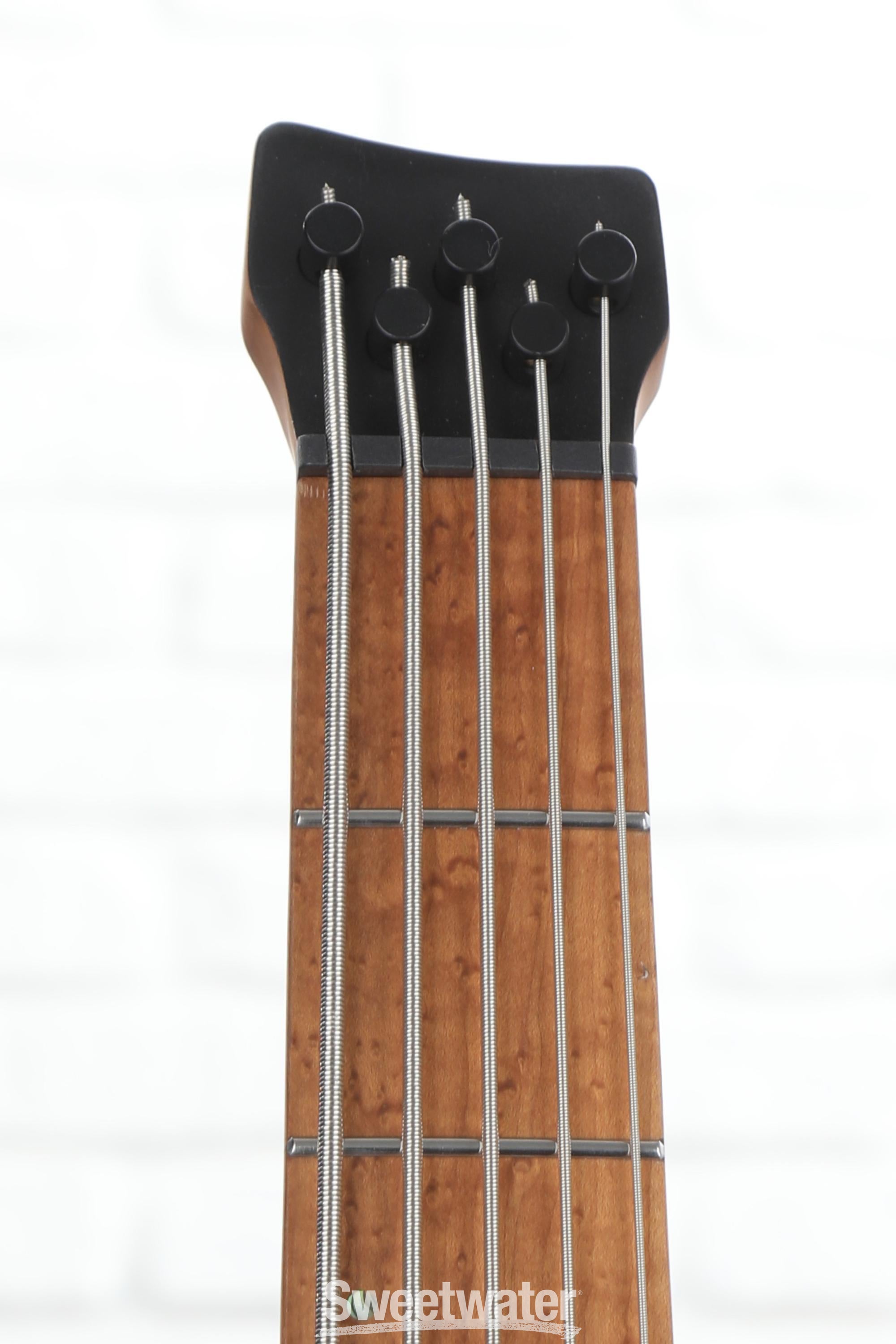 Ibanez Bass Workshop EHB1005 Bass Guitar - Black Flat | Sweetwater
