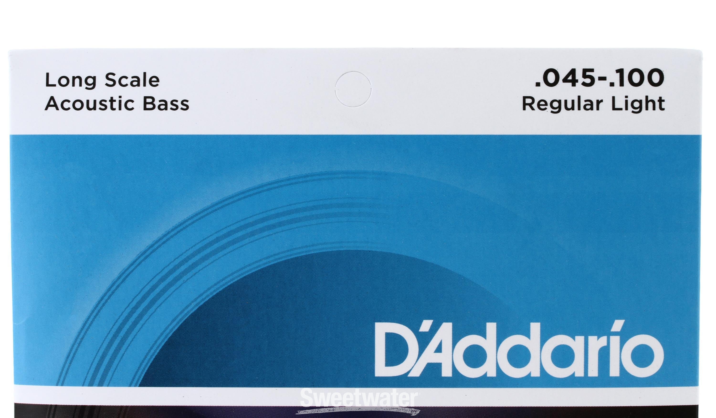 D'Addario EPBB170 Phosphor Bronze Acoustic Bass Guitar Strings - .045-.100  Regular Light Long Scale 4-string | Sweetwater