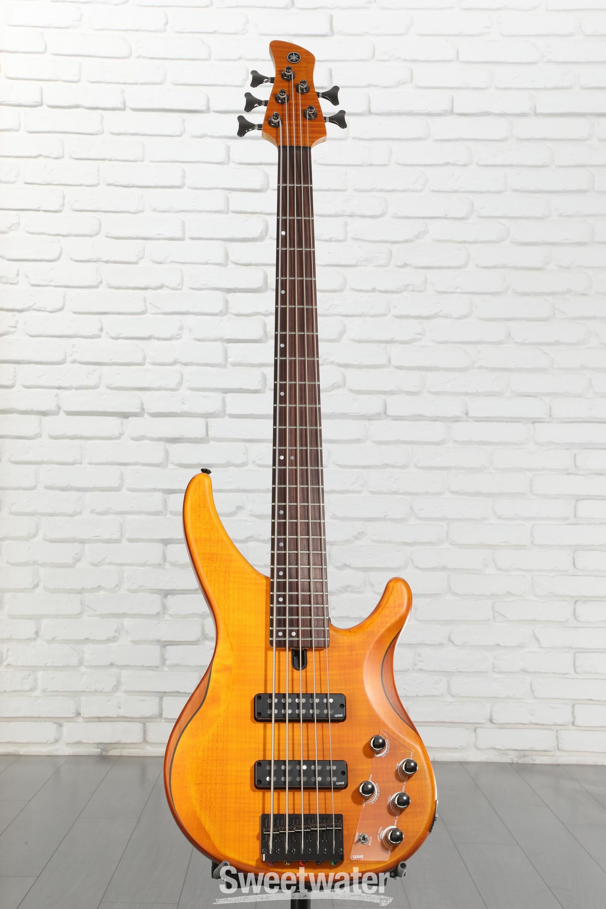 Yamaha TRBX605FM 5-string Bass Guitar - Matte Amber | Sweetwater