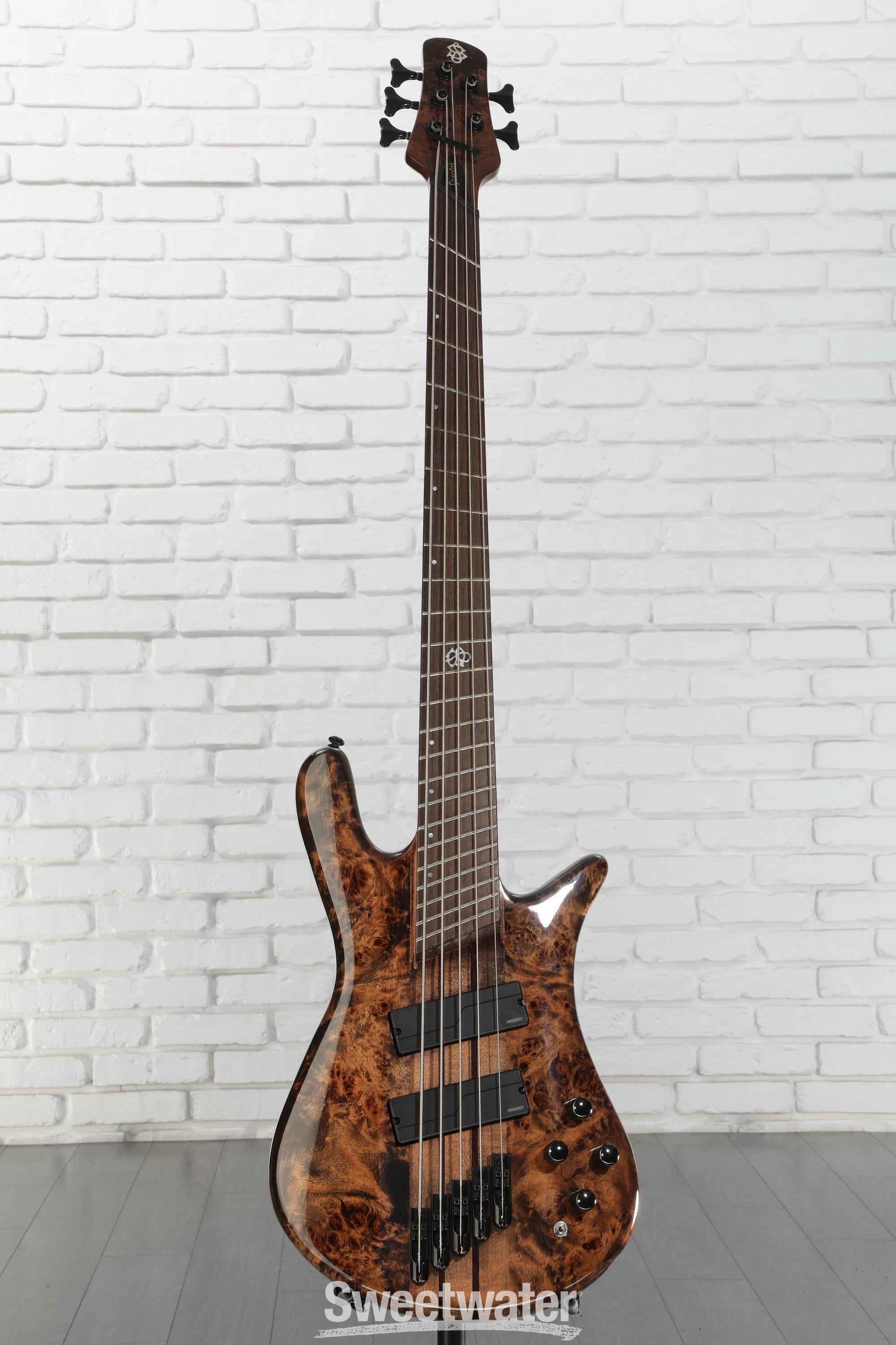 dimension　5弦 ベース Spector NS Dimension 5 Bass Guitar - Super Faded Black Gloss
