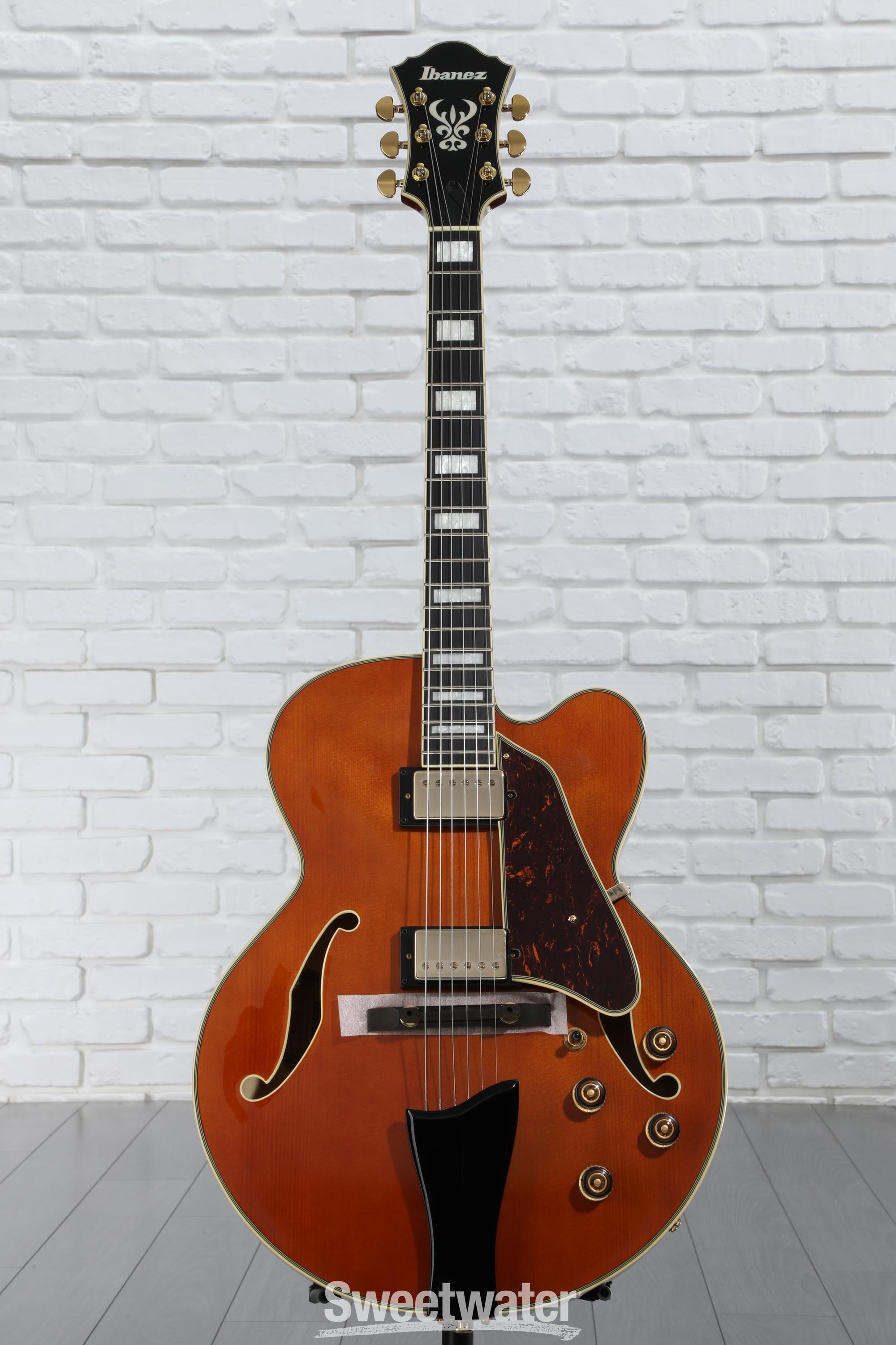 Ibanez Artcore Expressionist AF95 Hollowbody Electric Guitar