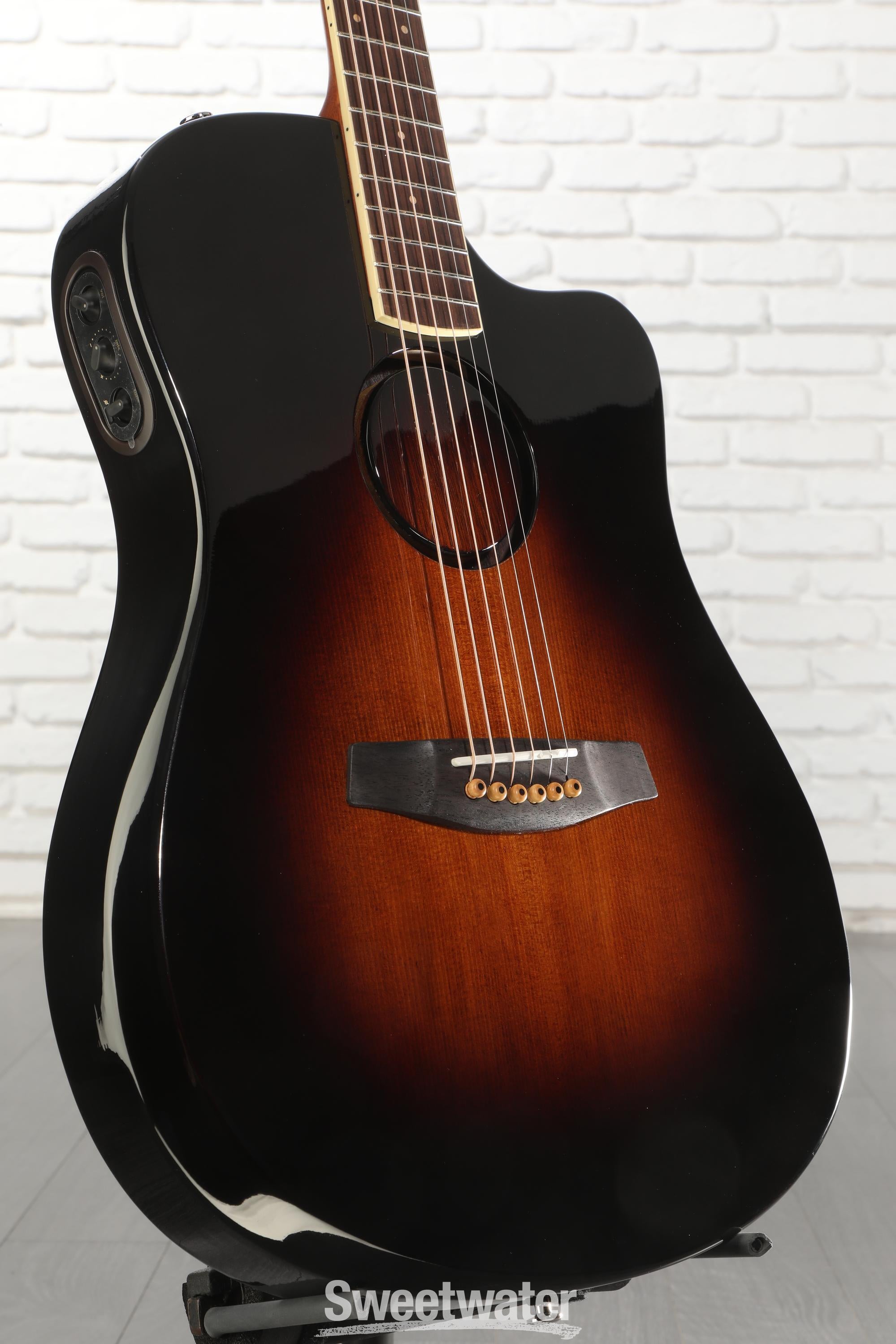 Photo of LR Baggs AEG-1 Acoustic-electric Guitar - Sunburst, Sitka Spruce Top