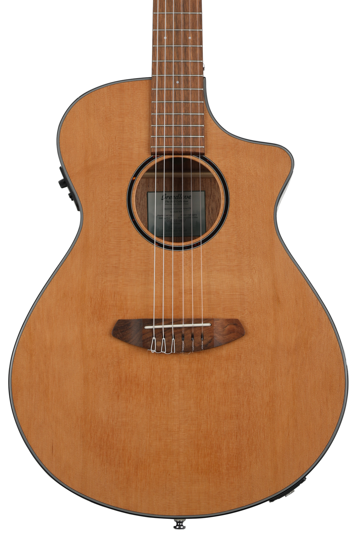Breedlove online discovery nylon