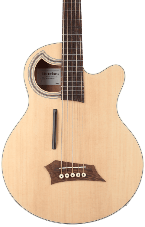 Warwick RockBass Alien Standard 5-string Acoustic-electric Bass