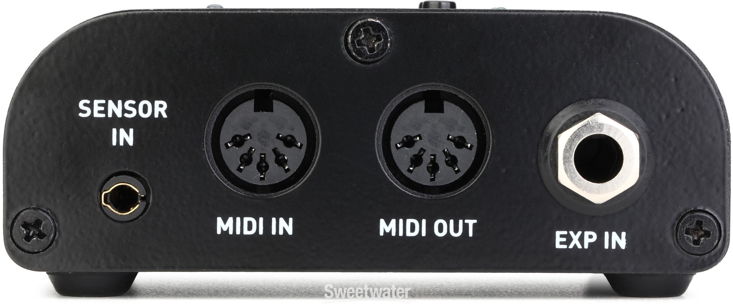 Source Audio Neuro Hub Reviews | Sweetwater