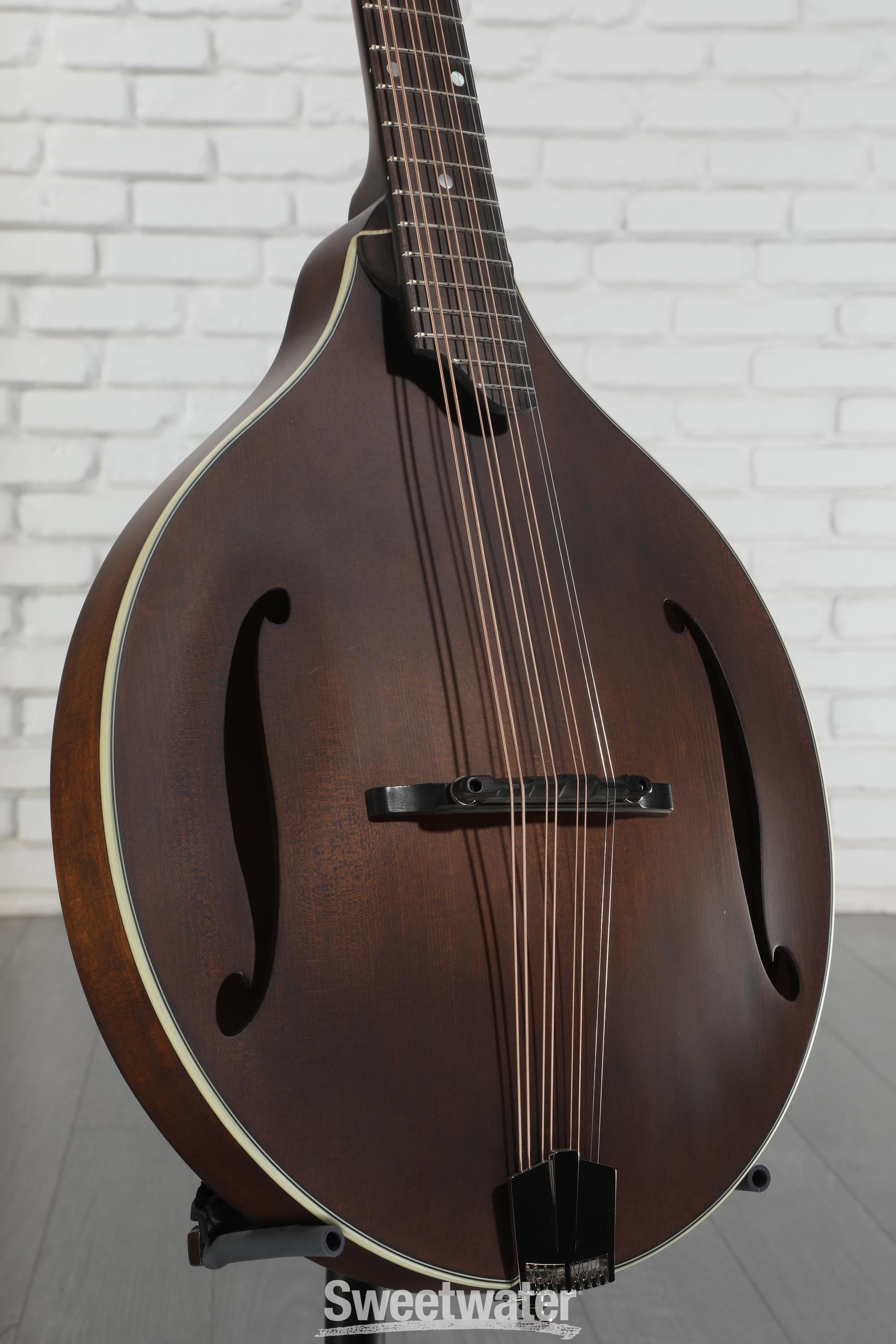 【最終価格】Eastman MDO-305 オクターブマンドリン Eastman MDO-305 Octave Mandolin – Fiddler's Green Music Shop