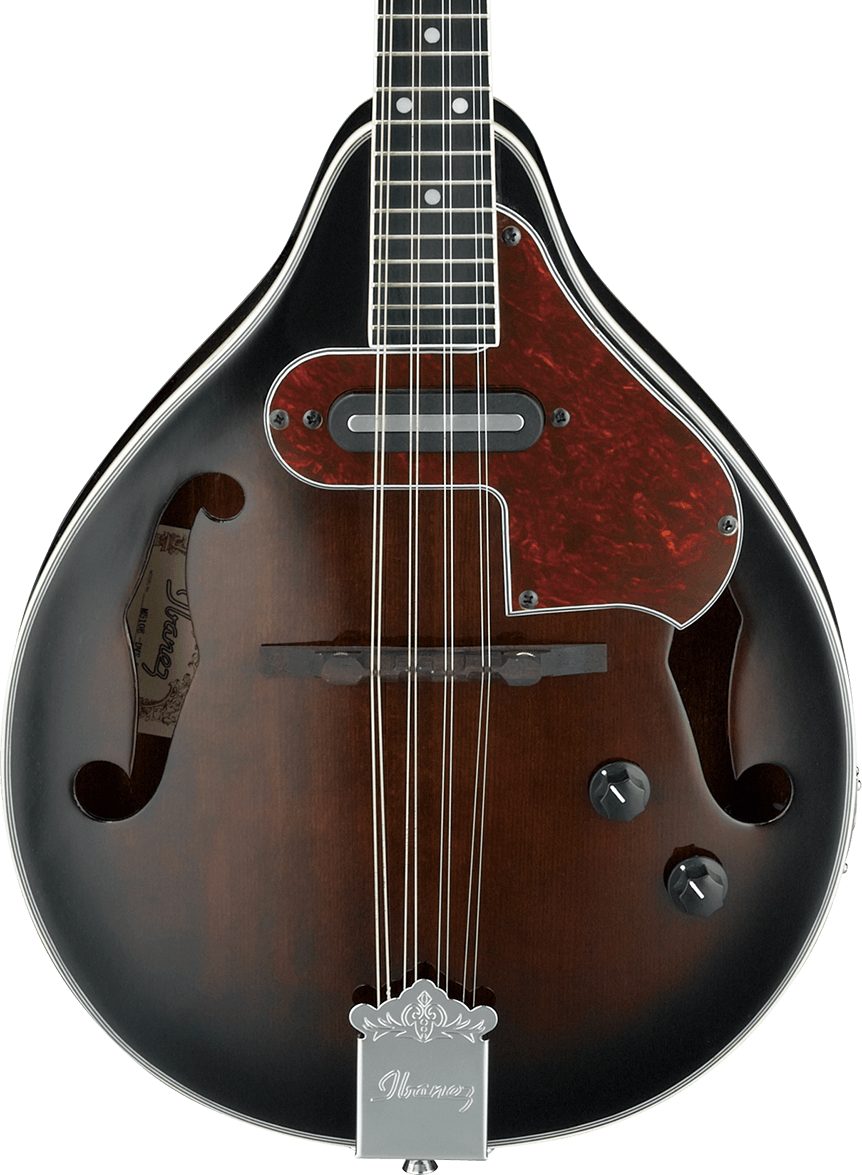 Ibanez M510 Mandolin - Dark Violin Sunburst High Gloss | Sweetwater