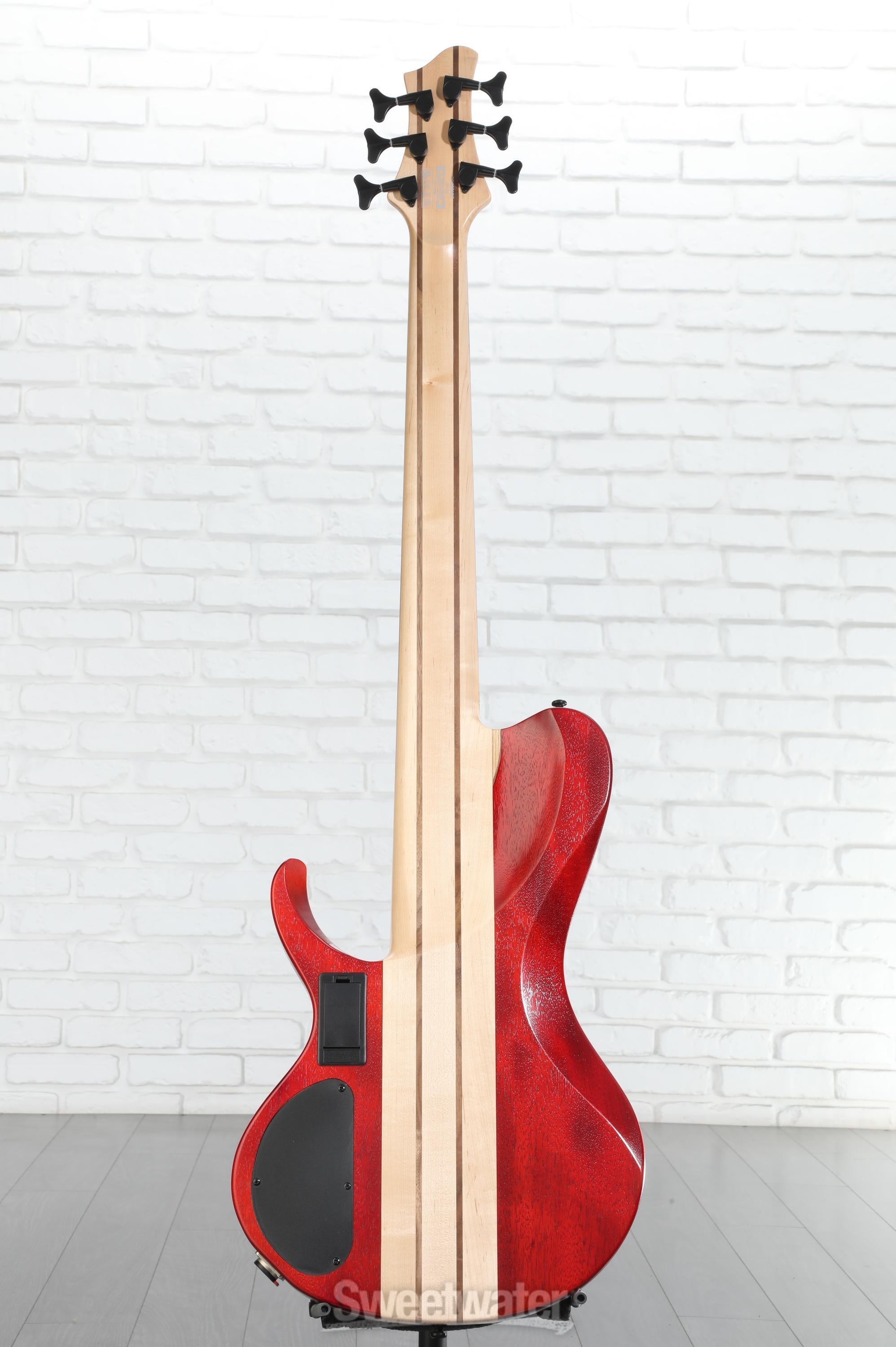 Ibanez Bass Workshop BTB866SC 6-string Bass Guitar - Weathered