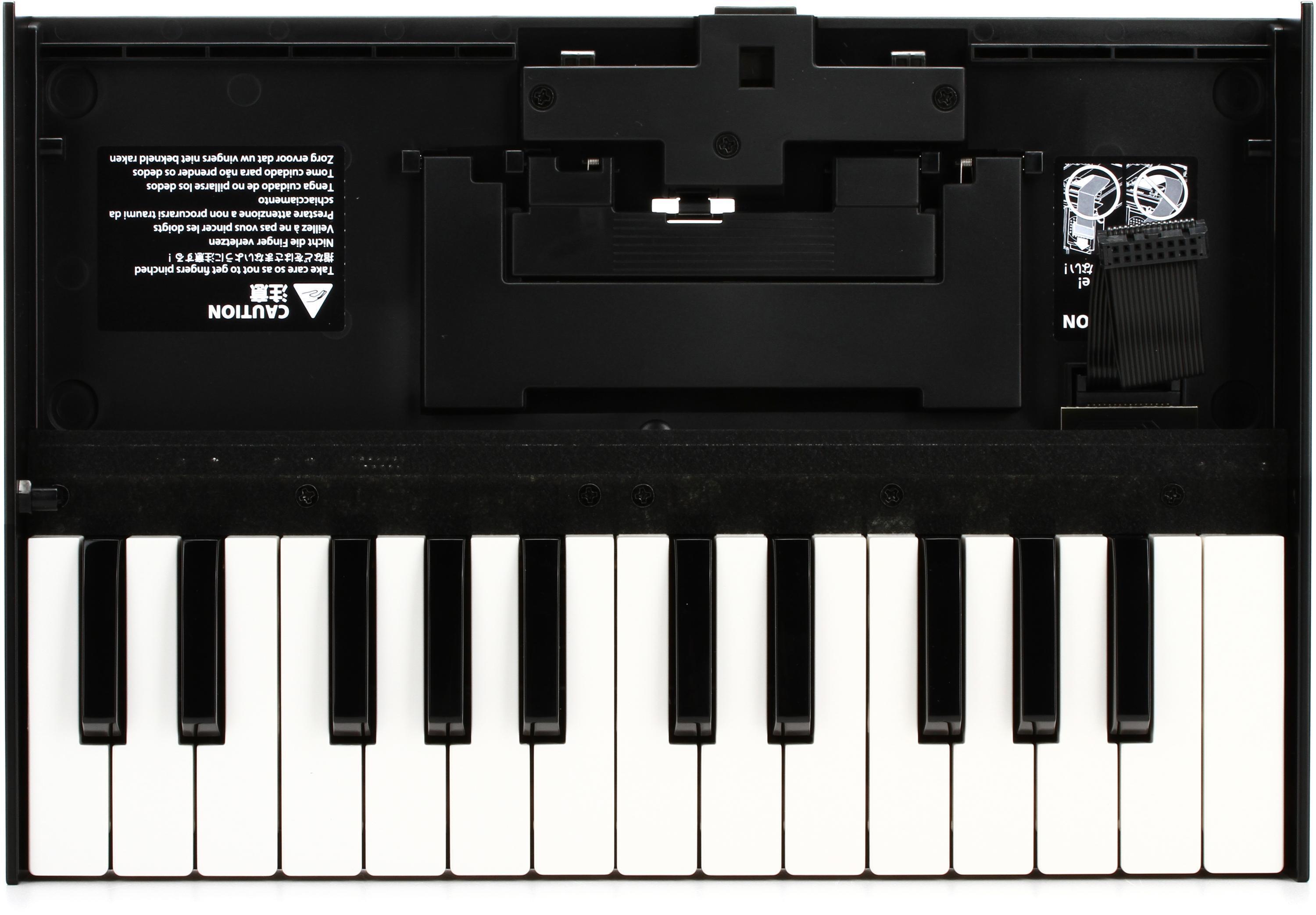 Roland K-25m Boutique Series Keyboard Unit with Decksaver Cover