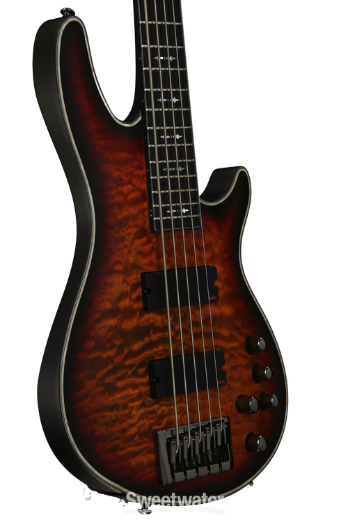 即発送 SCHECTER HELLRAISER-5 5弦ベース 調整済み Schecter Guitar Research Hellraiser Extreme-5 Electric Bass Guitar
