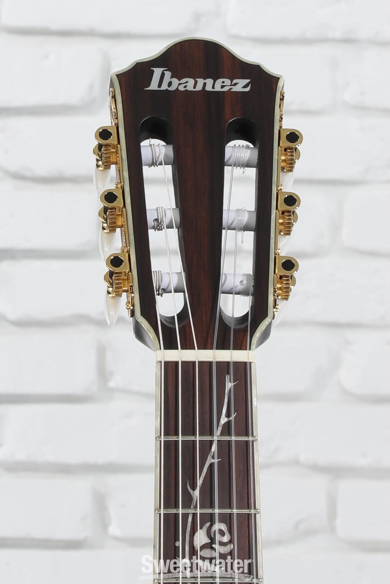 ギター Ibanez Tod10n Ibanez TOD10N Tim Henson Signature Nylon Acoustic-Electric
