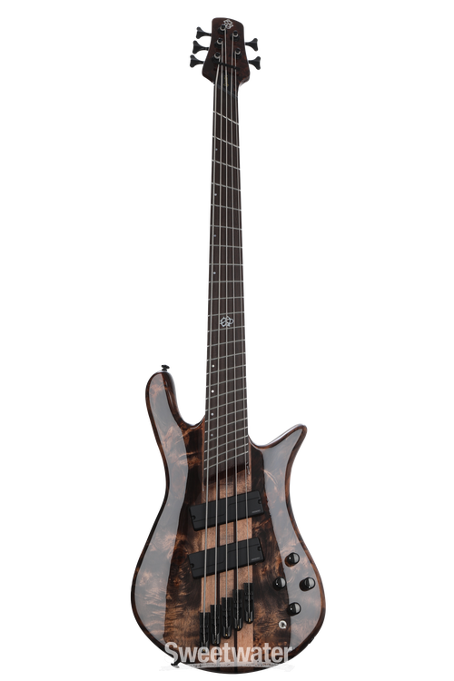 ベース Spector NS dimension-5 NS Dimension 5 - Spector Bass