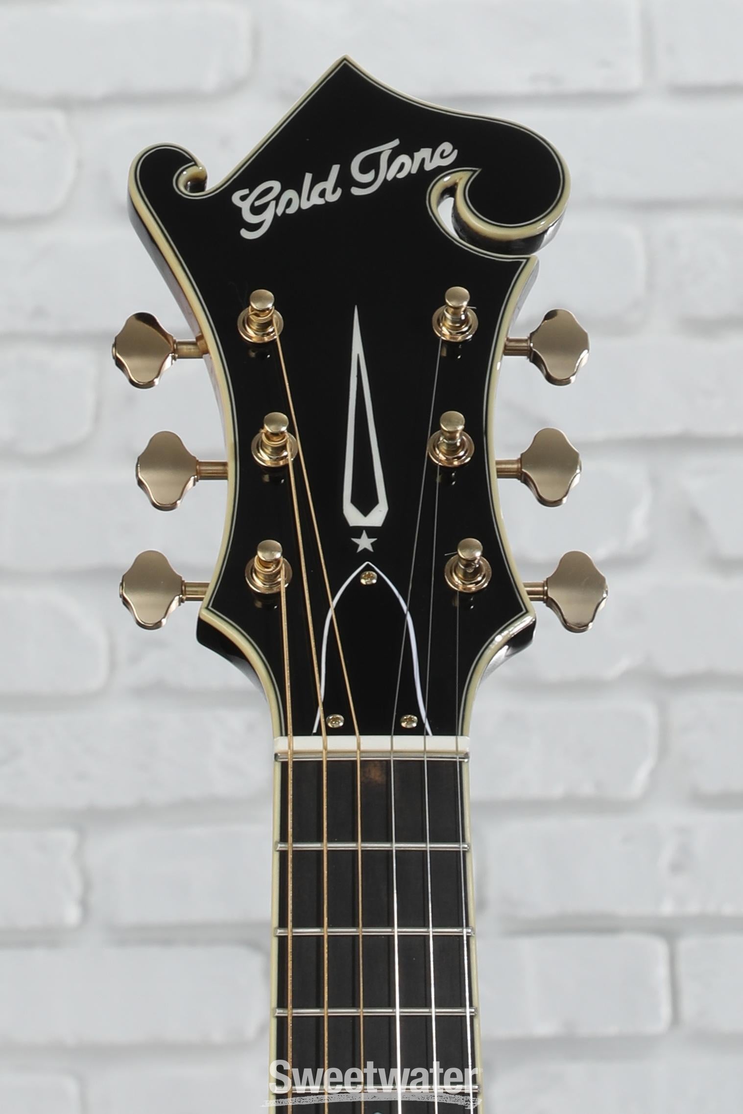 Gold Tone F-6+ Acoustic-electric Mando-Guitar - Tobacco Gold Tone F-6+ Acoustic-electric Mando-Guitar - Tobacco