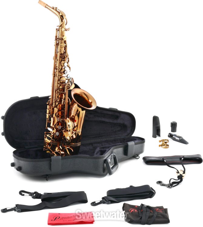 Steuer Traditional Saxophone Alto 2,5 « Anches