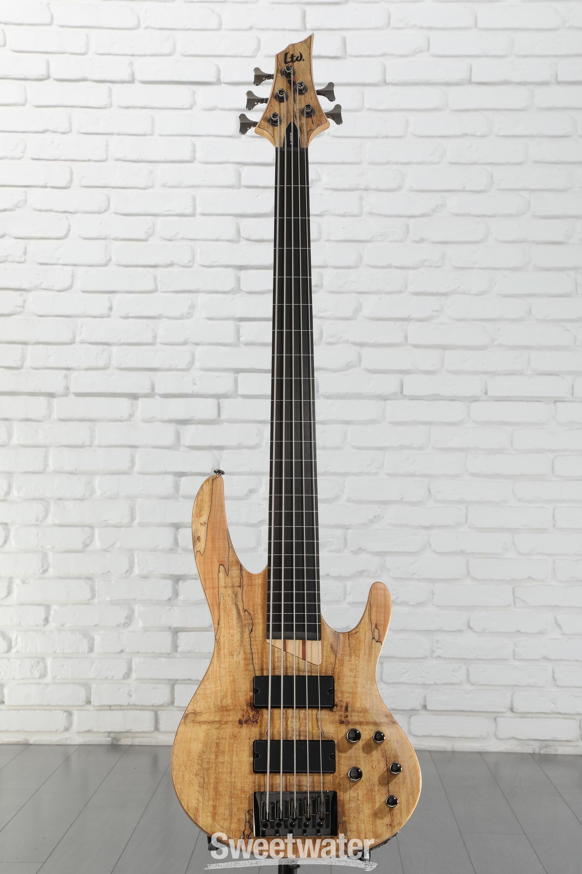 ESP LTD B-205SM Fretless Bass Guitar - Natural Satin