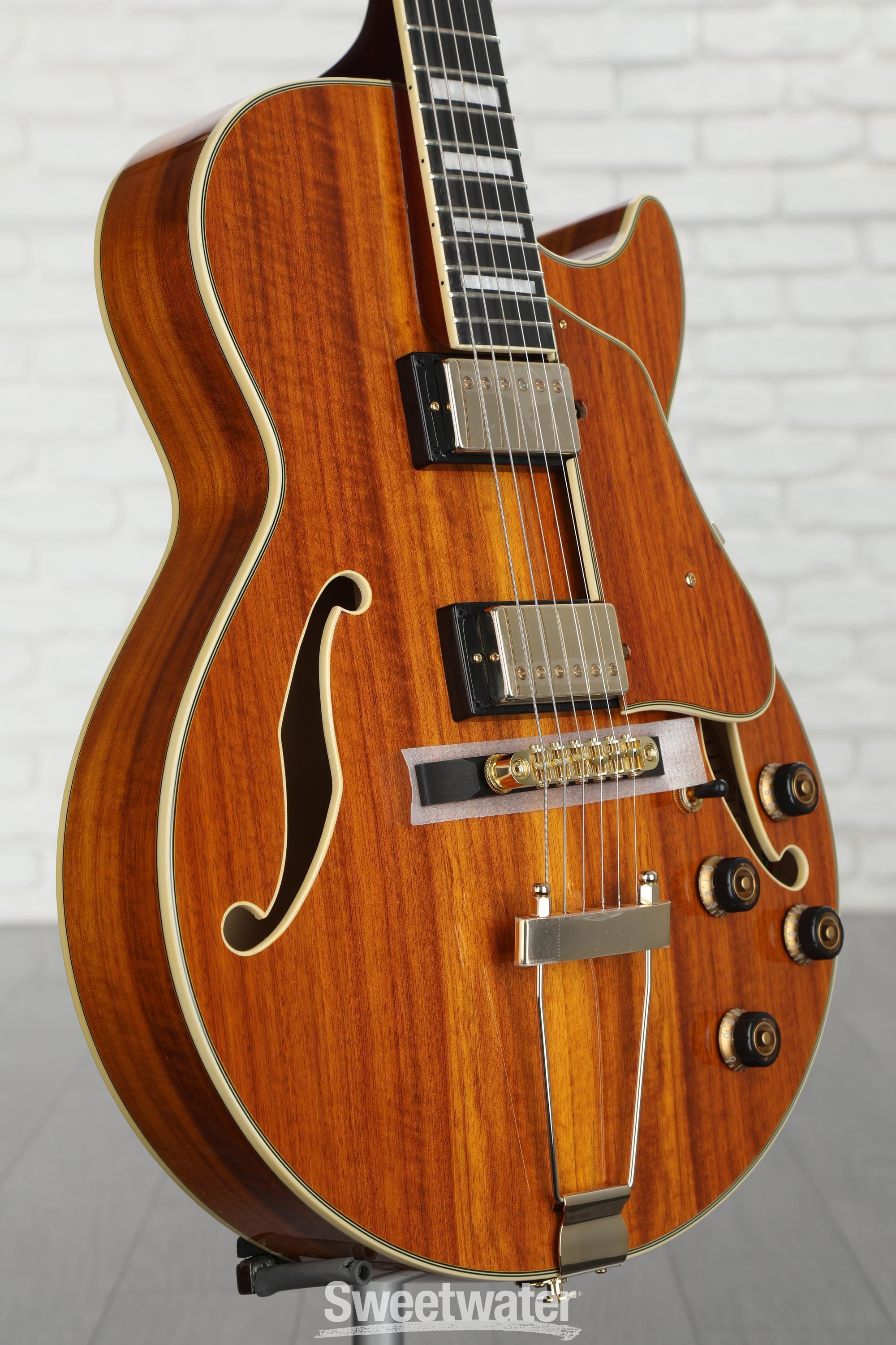 Ibanez ARTCORE エレアコ Amazon.com: Ibanez Artcore AG75G Hollowbody Electric Guitar