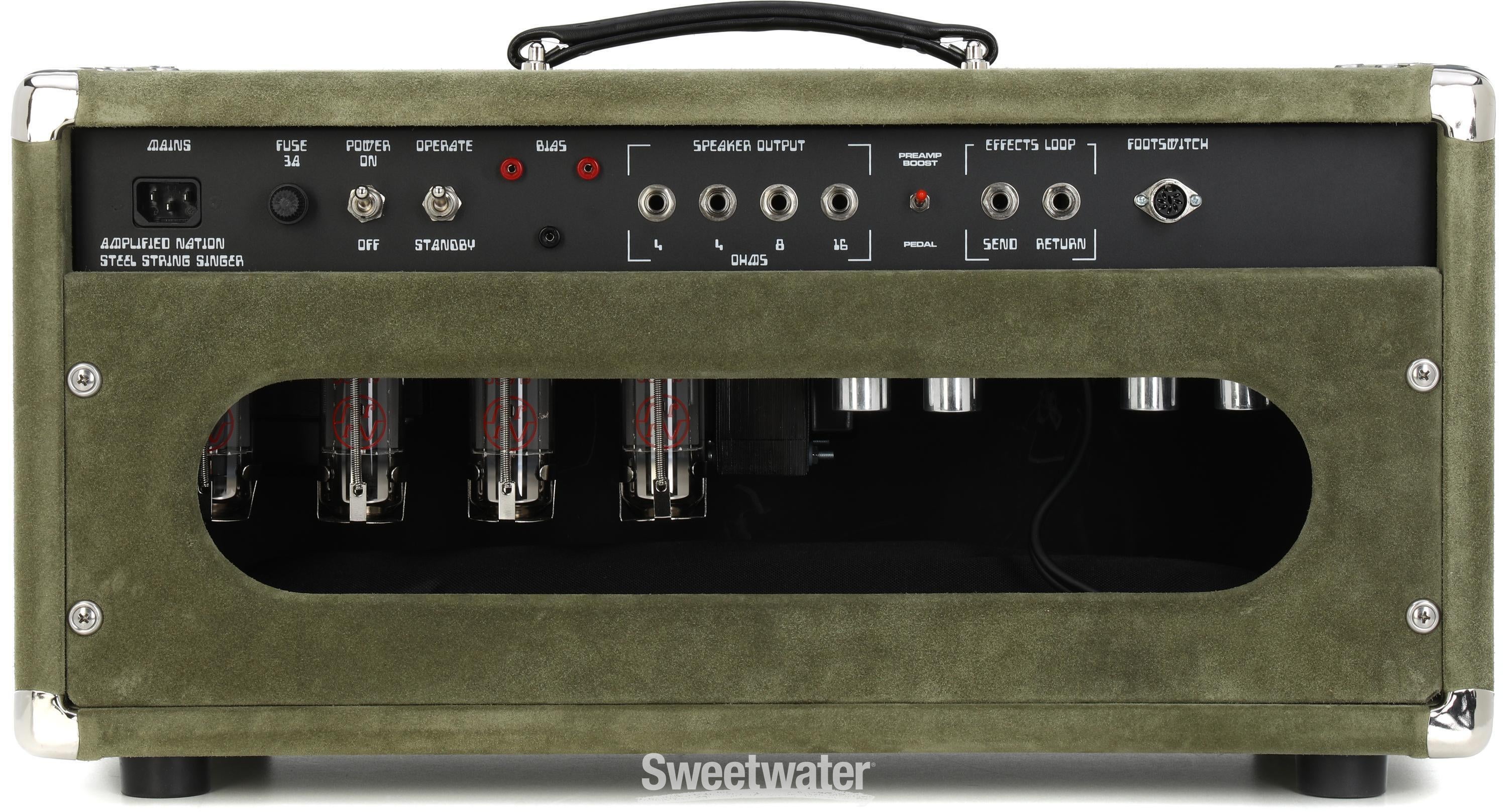 Amplified Nation Steel String Singer 100-watt Tube Head