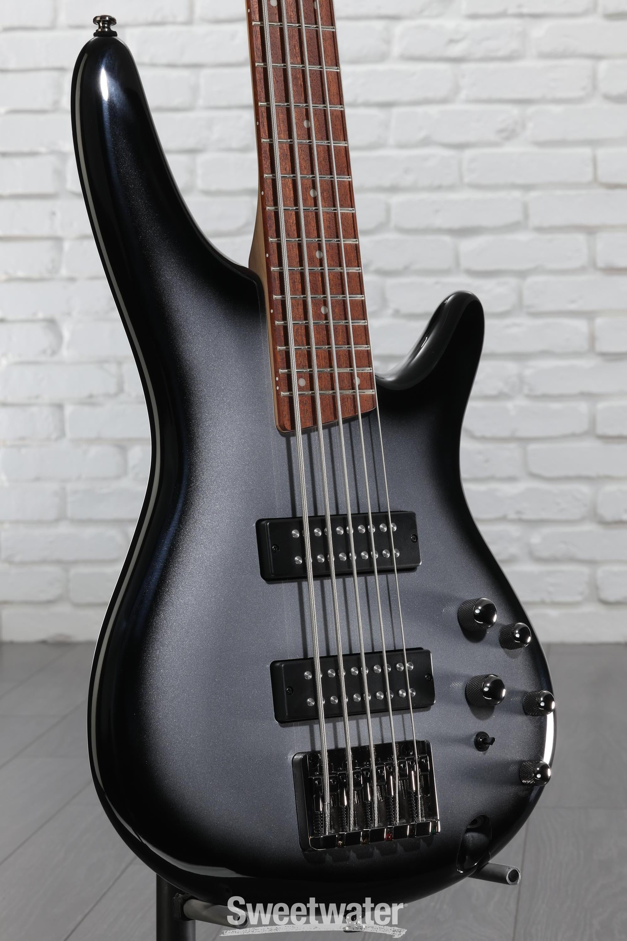 Ibanez Standard SR305E 5-string Bass Guitar - Metallic Silver