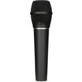 Photo of Earthworks SR117 Supercardioid Condenser Vocal Microphone