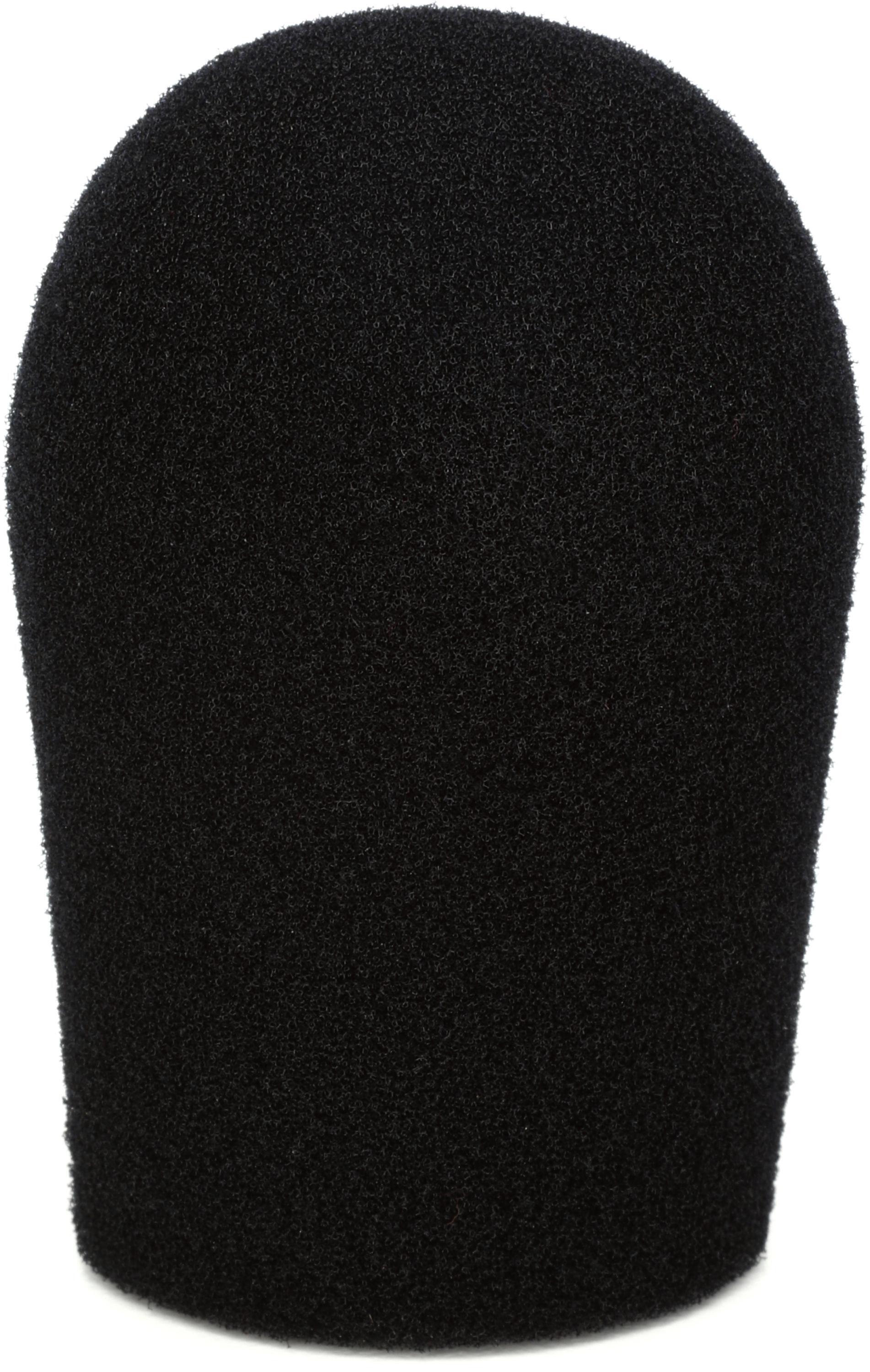 Electro-Voice WSPL-2 Foam Windscreen for RE20 | Sweetwater
