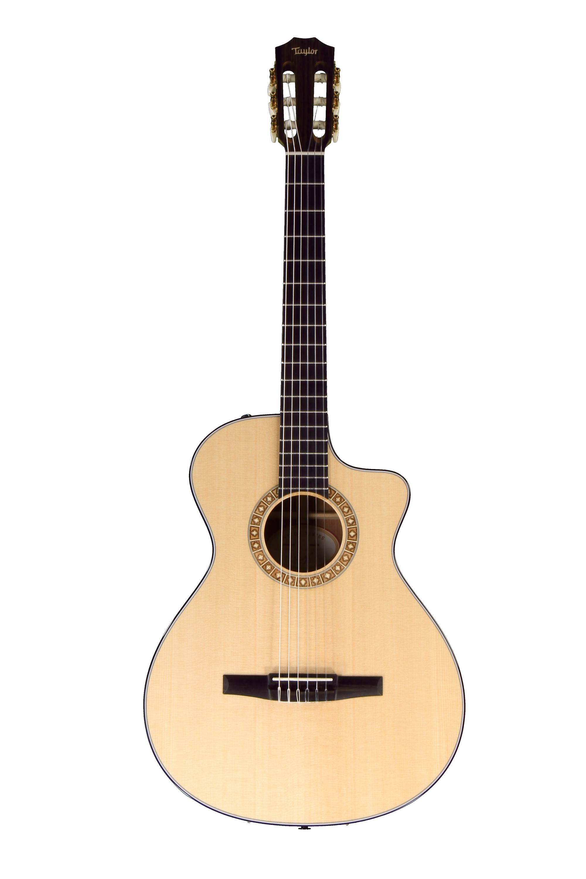 Taylor NS32CE テイラー エレガット - アコースティックギター
