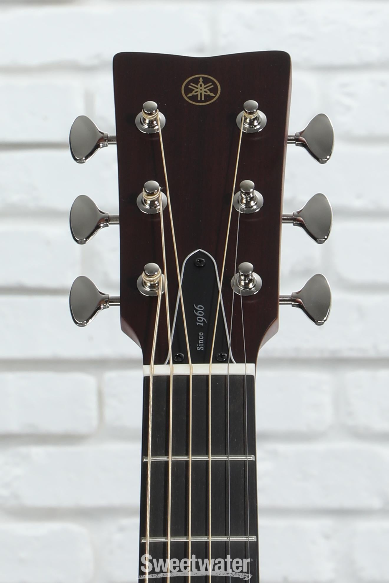 YAMAHA ＦＧ５ Amazon.com: Yamaha FG5 Red Label Acoustic Guitar - Natural