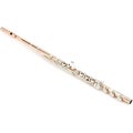 Photo of Powell Flutes Aurumite 9K Conservatory Professional Flute with Offset G and B Footjoint