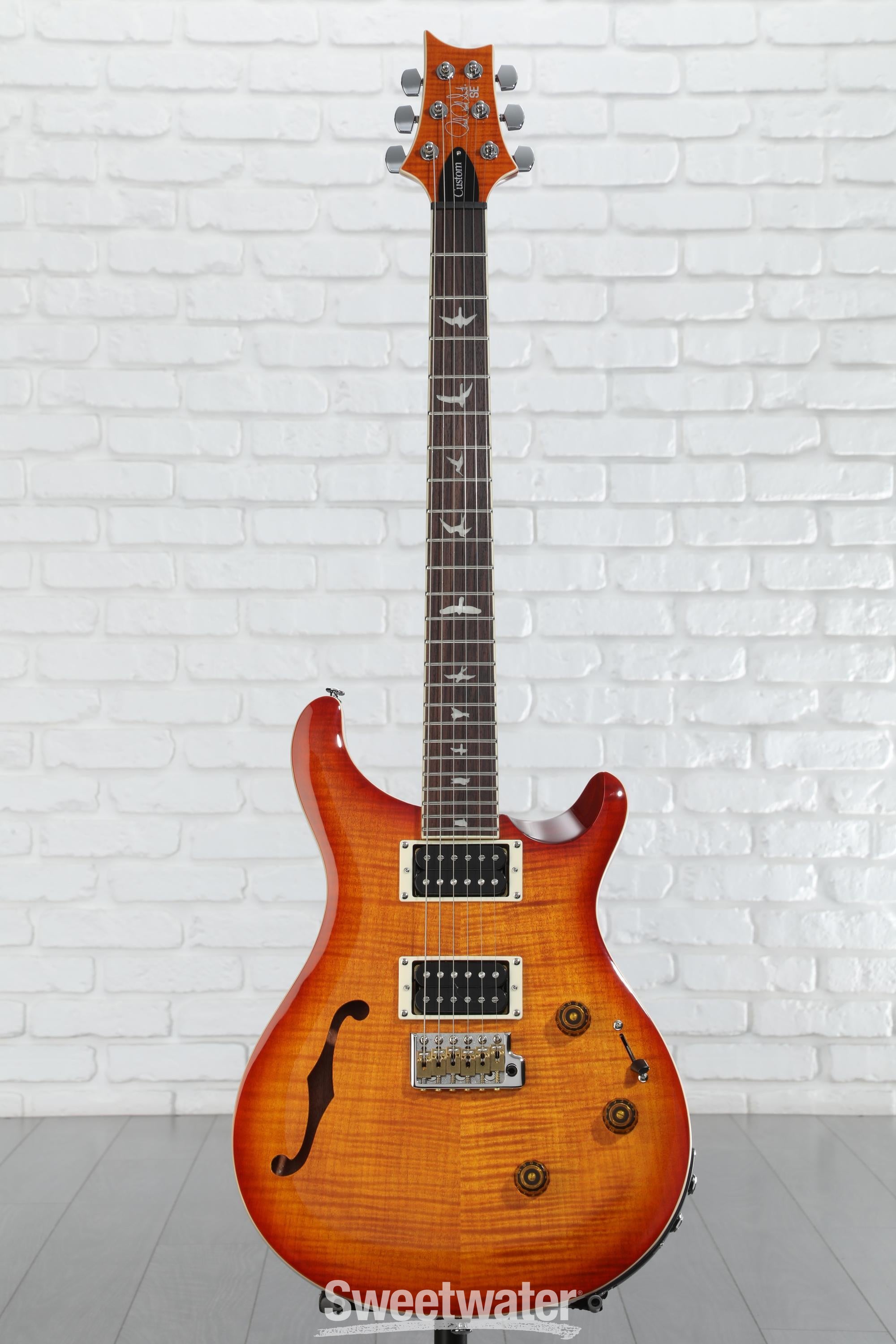 PRS SE Custom 24 Semi-Hollow Piezo Electric Guitar | Music