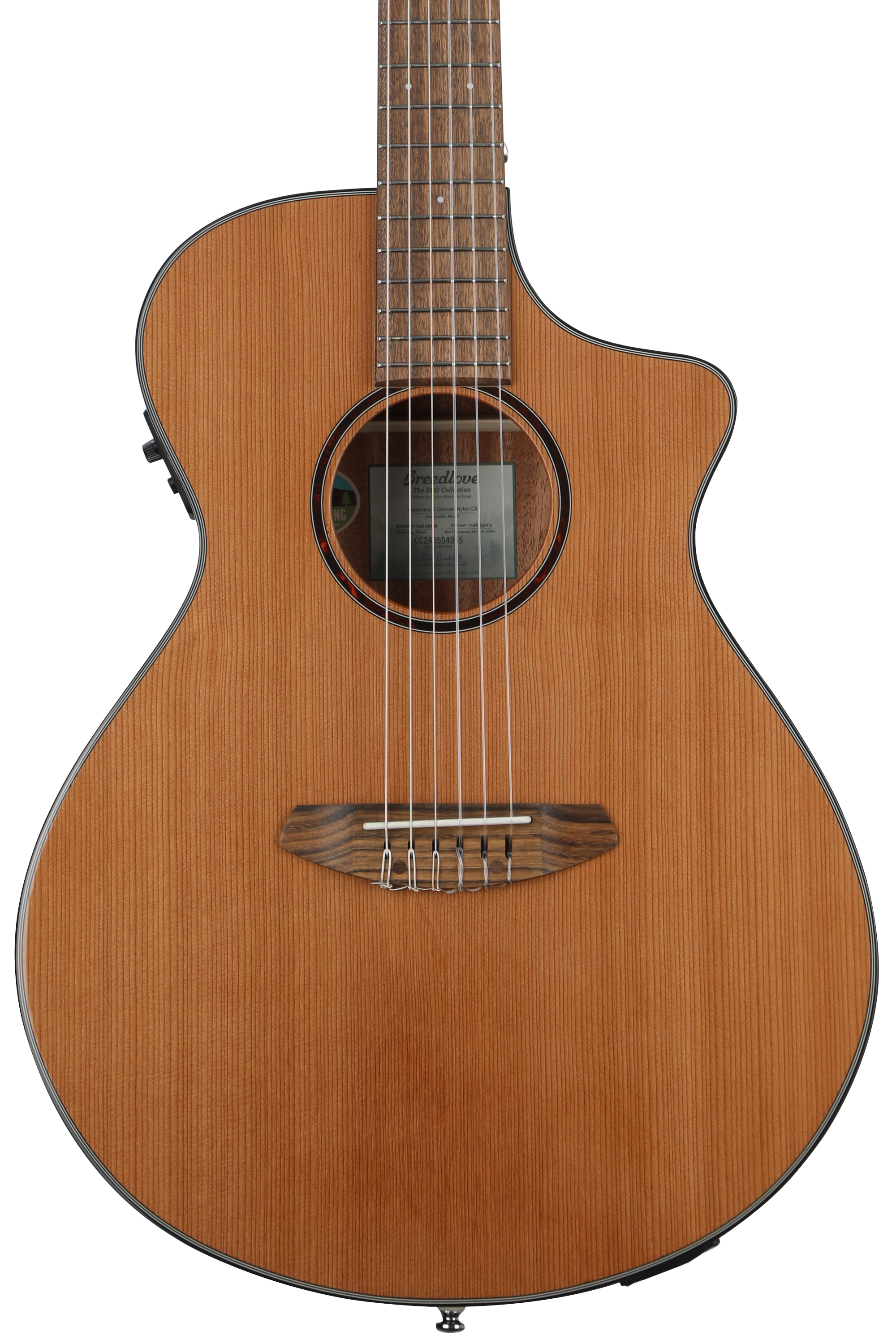 Breedlove ECO Discovery S Concert CE Nylon Acoustic-electric