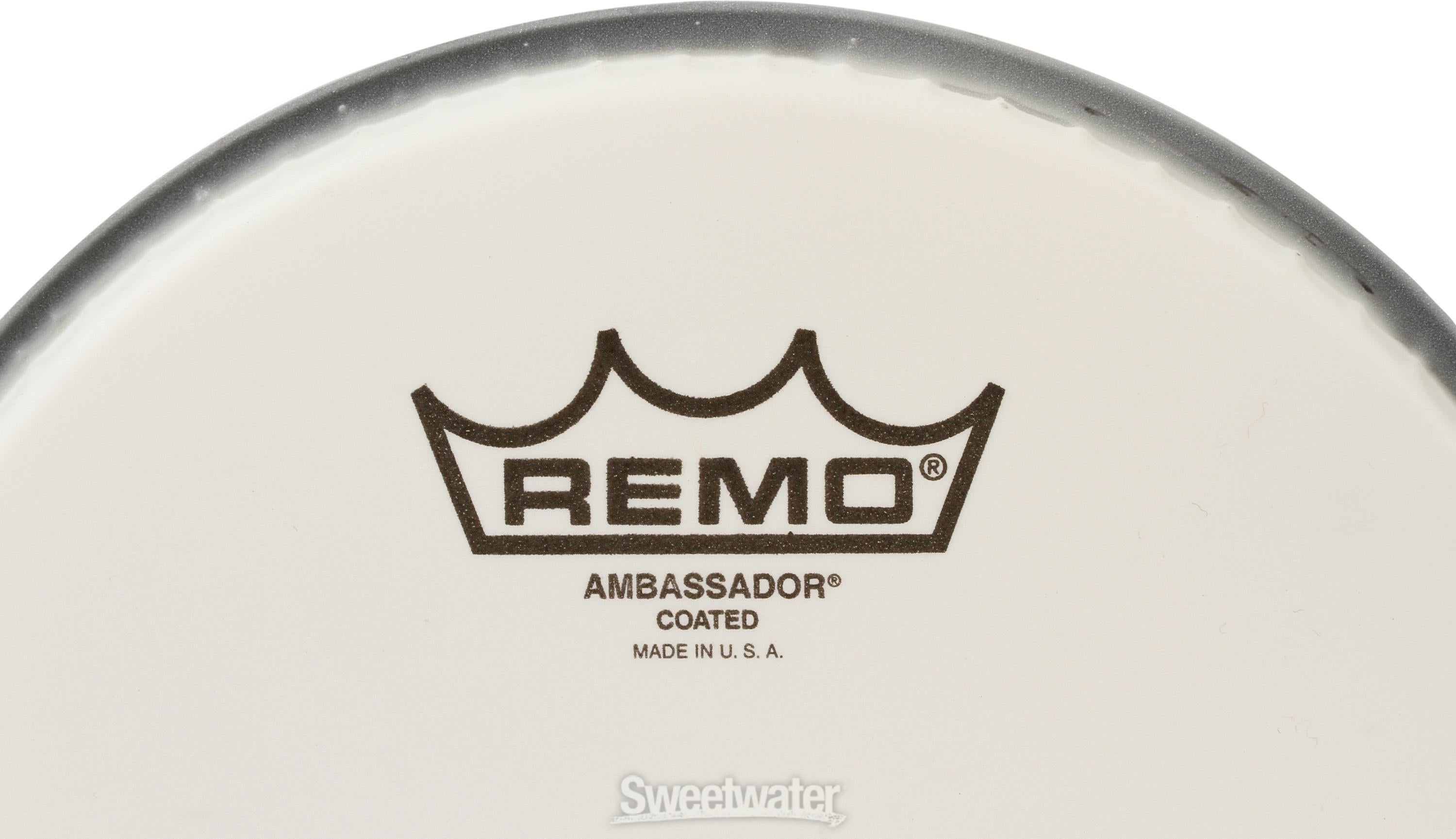 pearl ティンバレスcoated ambassador by REMO Remo Coated Ambassador 16