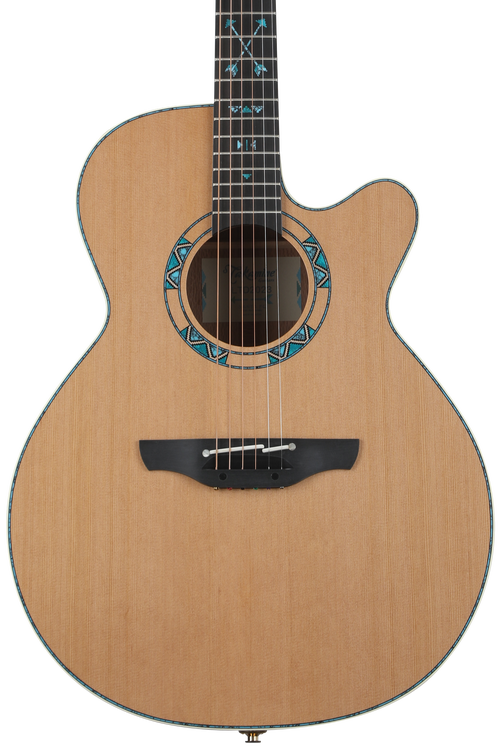 Sweetwater takamine deals