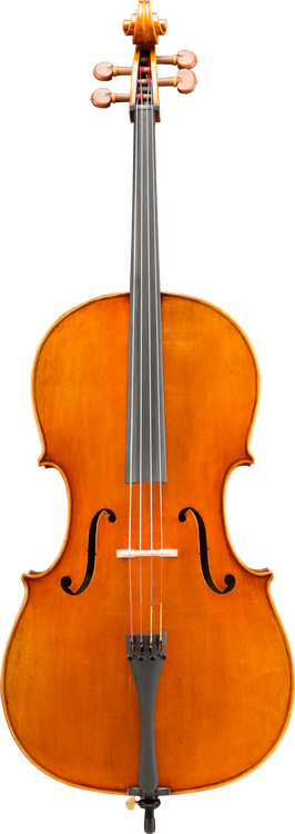 cello Eastman 703 Frederich Wyss Cello | The Violin Shop at Schmitt Music