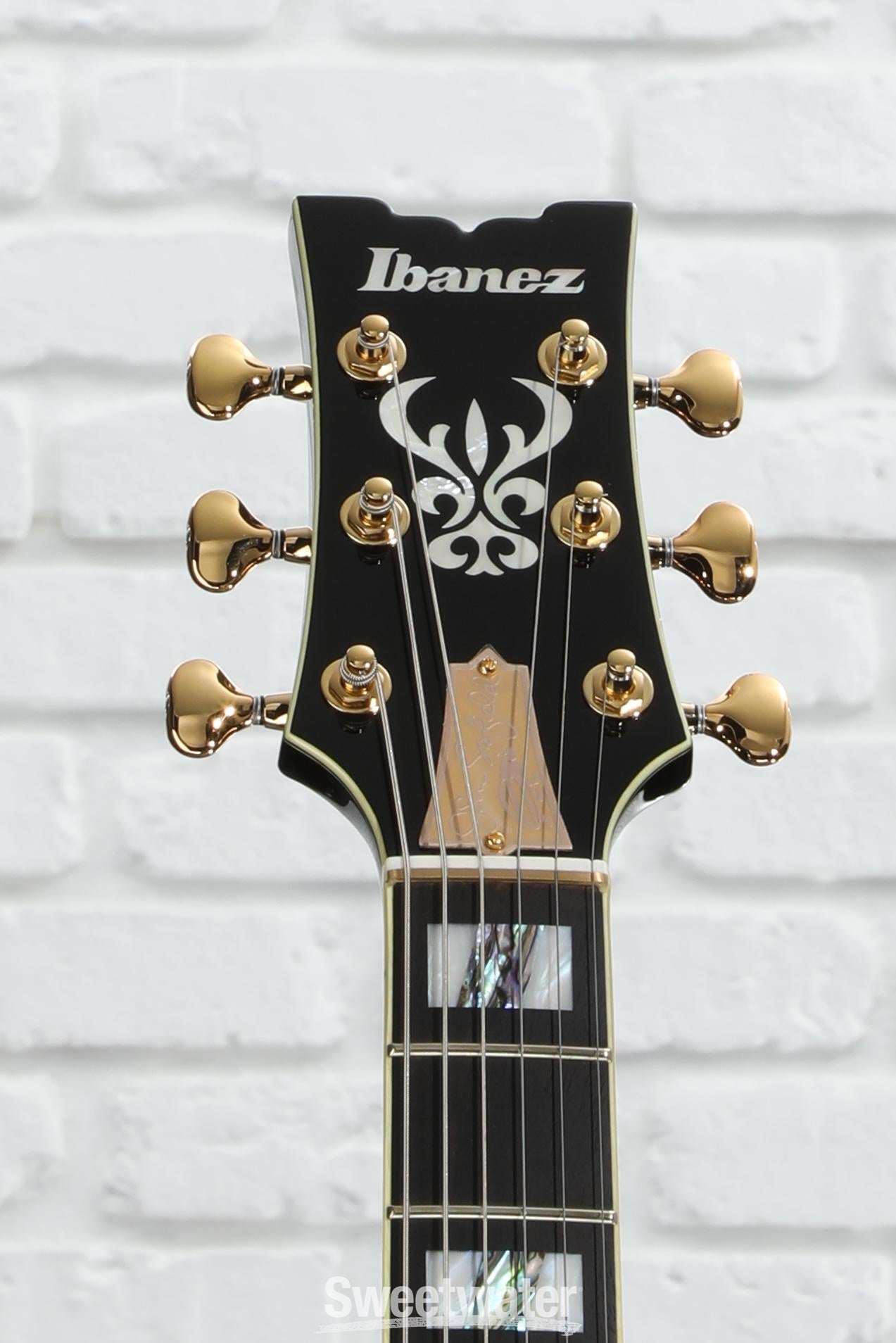 その他 THE ENCYCLEOPEDIA JAZZ GUITAR Takamine F-455S Japanese acoustic-electric guitar 1976