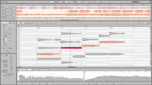 Celemony Melodyne 5 studio Upgrade from Melodyne 4 or 5 essential