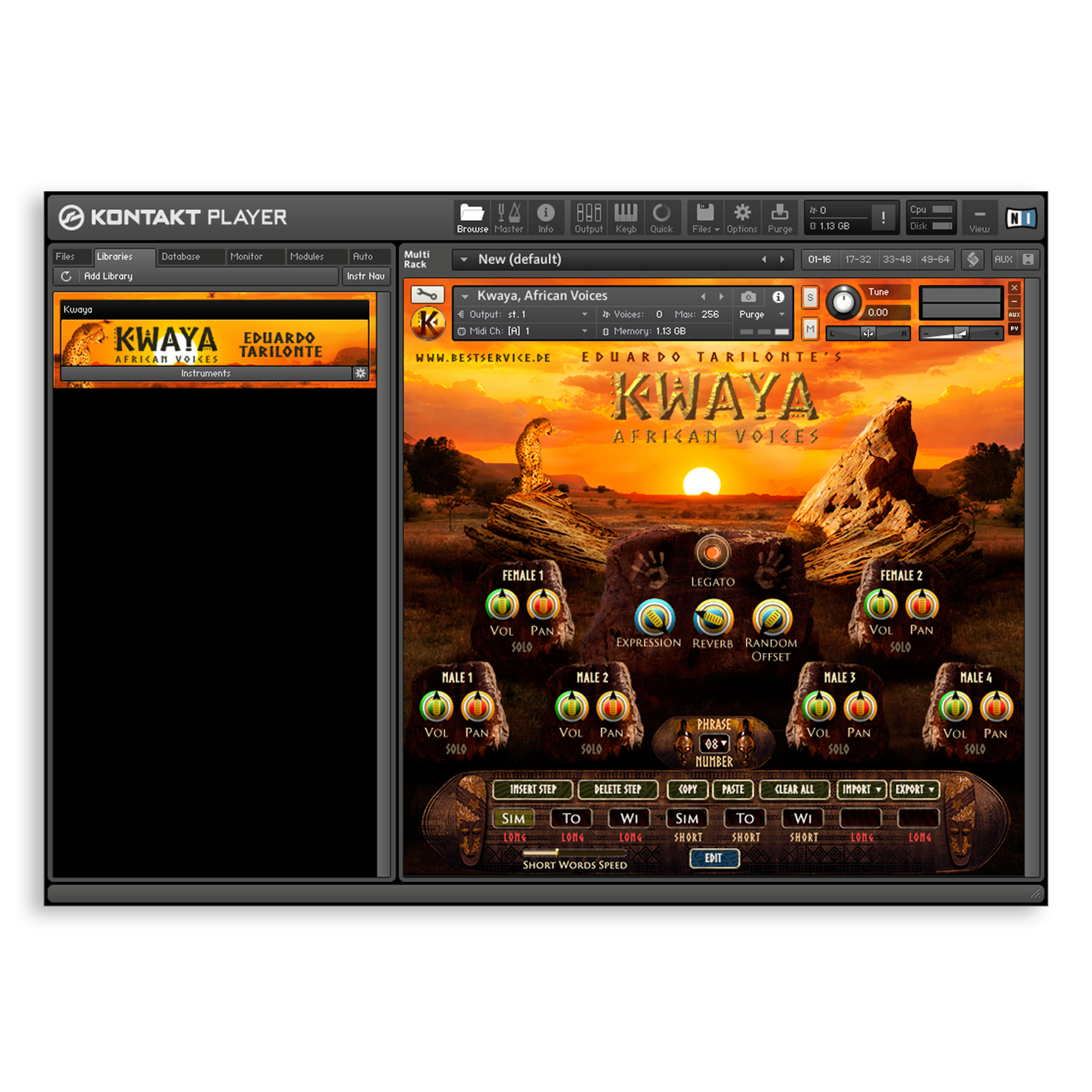 Photo of Best Service Kwaya - African Voices Virtual Instrument