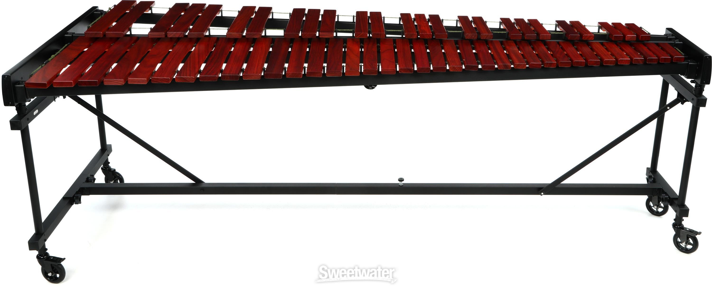 Marimba One 5.0-octave Educational Marimba | Sweetwater