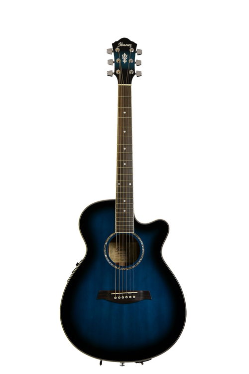 Ibanez aeg store 1011