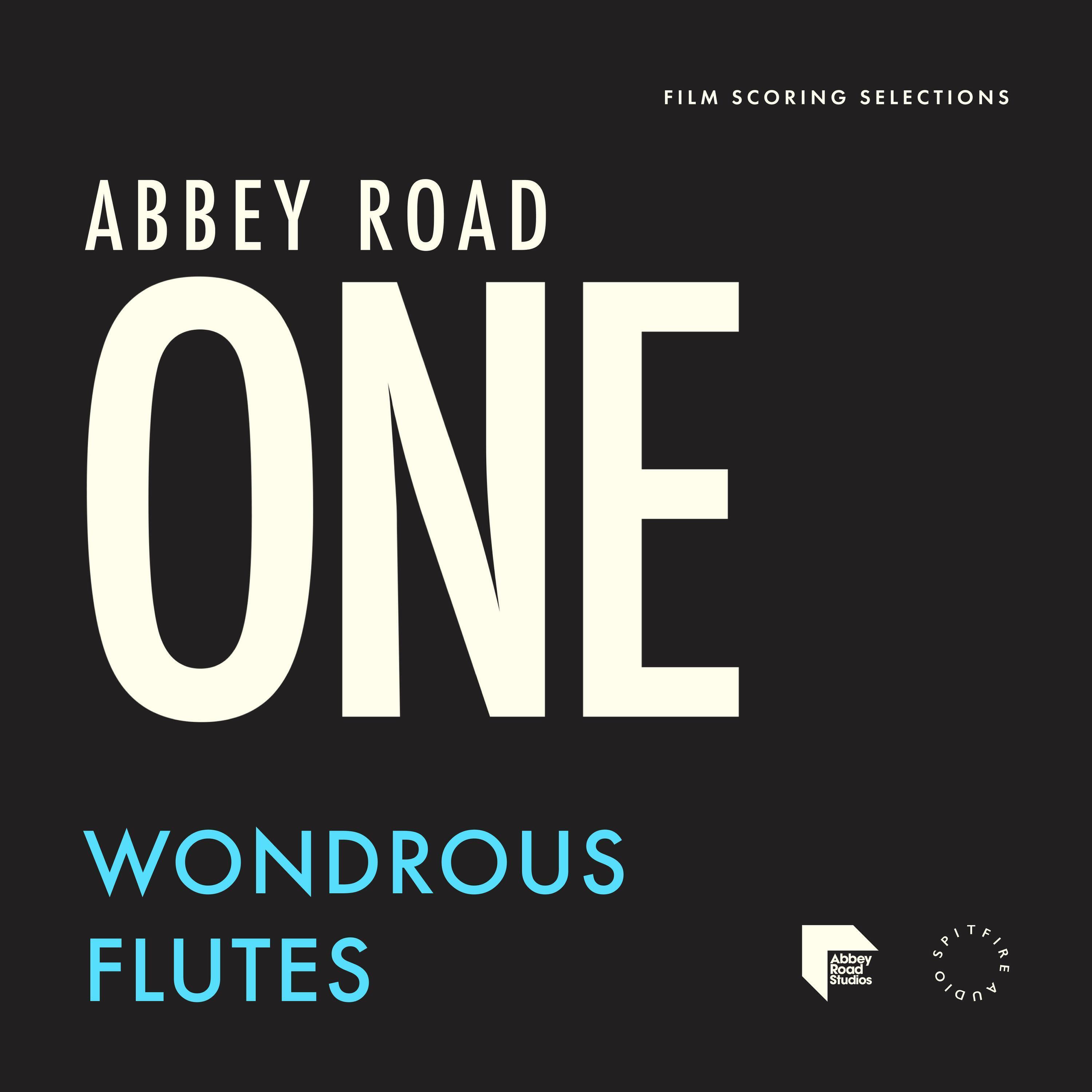 Photo of Spitfire Audio Abbey Road One: Wondrous Flutes Library