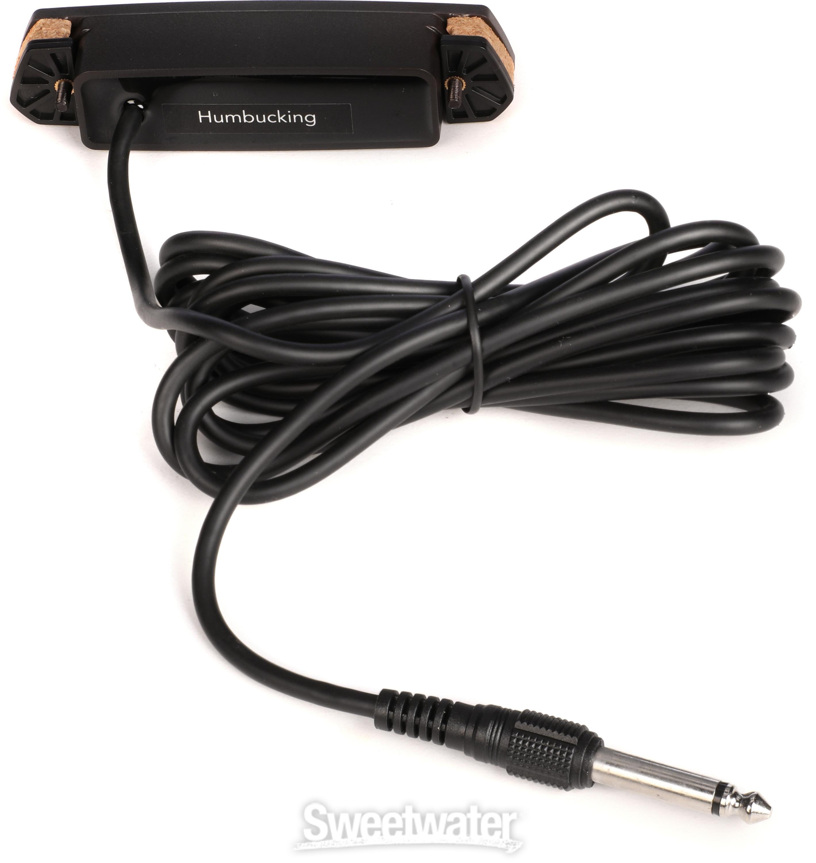 Fishman Neo-D Acoustic Soundhole Humbucker Pickup Reviews | Sweetwater