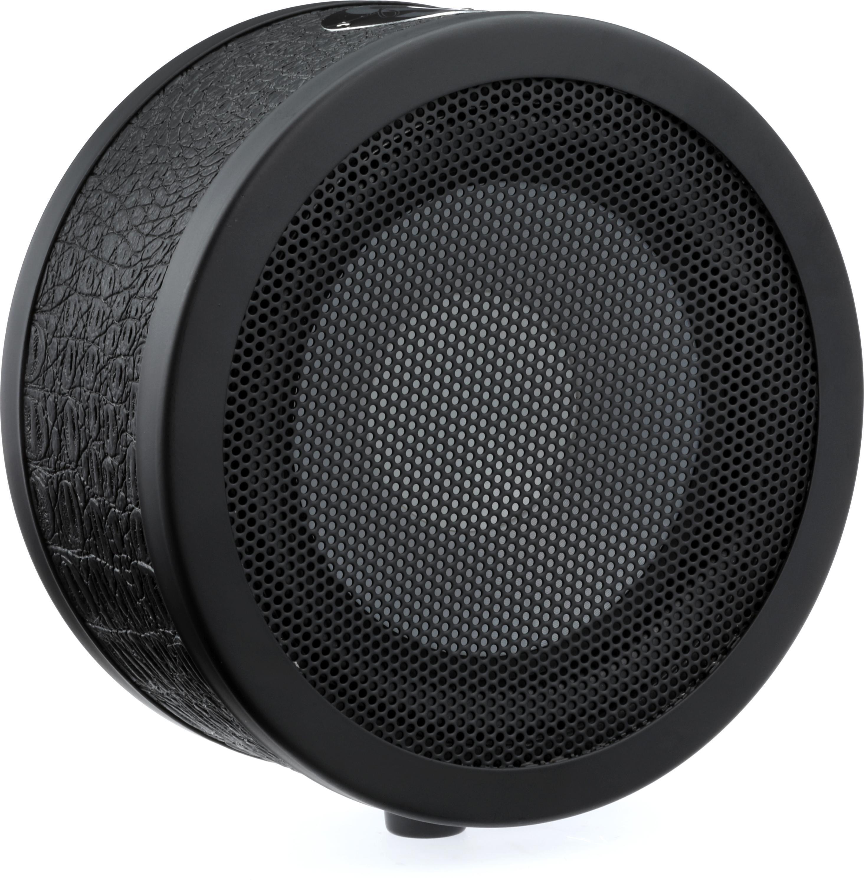 Solomon LoFReQ Sub-style Dynamic Microphone - Daru Jones