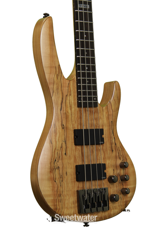 ESP LTD B-414 - 4-string, Spalted Maple