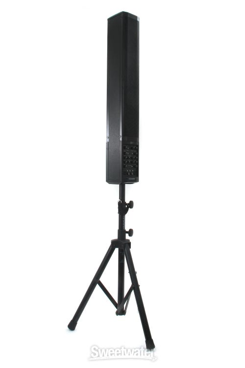 Fishman SA220 Solo Performance System Reviews | Sweetwater 