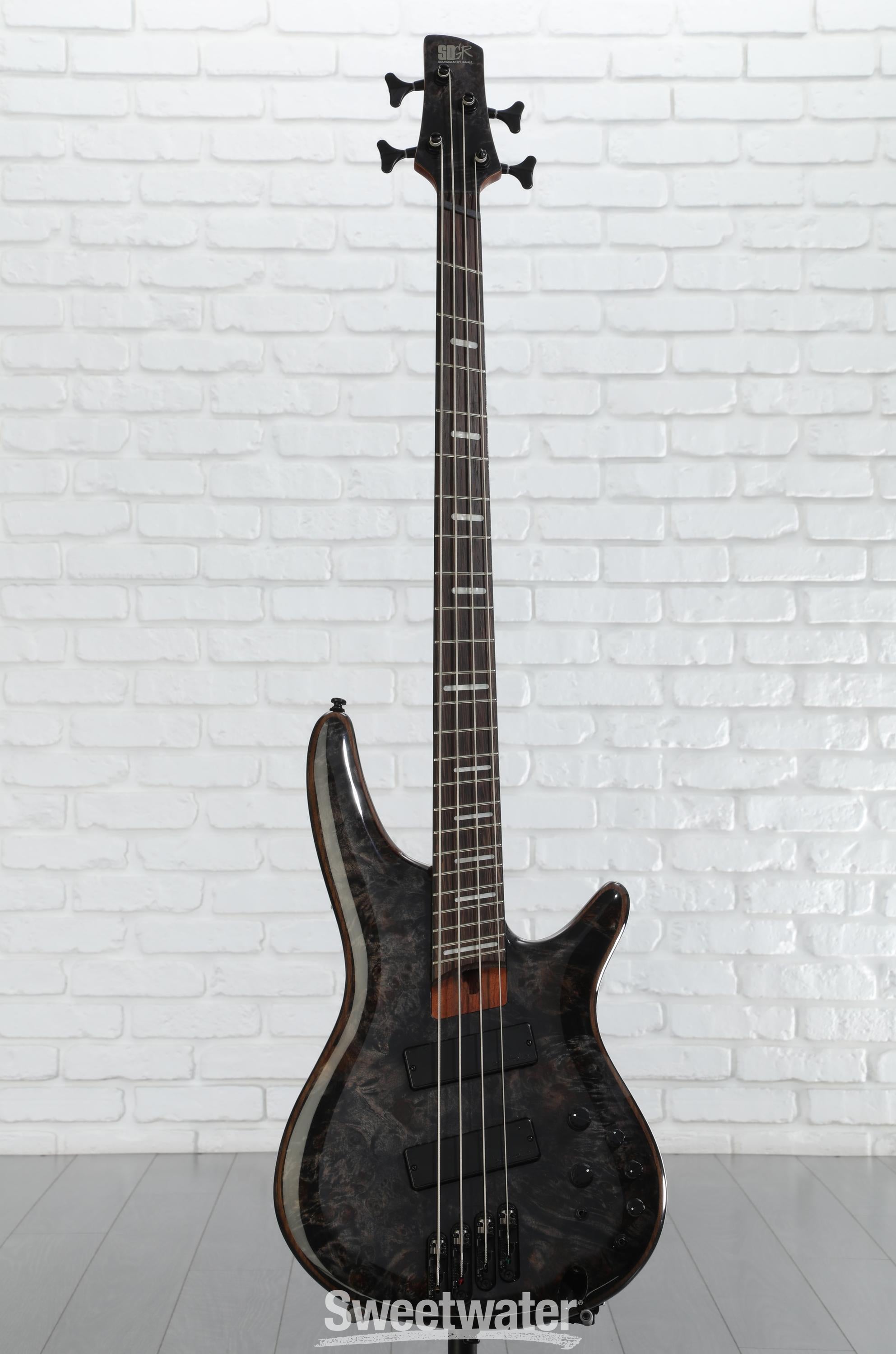 Amazon.com: Ibanez Bass Workshop SRMS800 - Deep Twilight