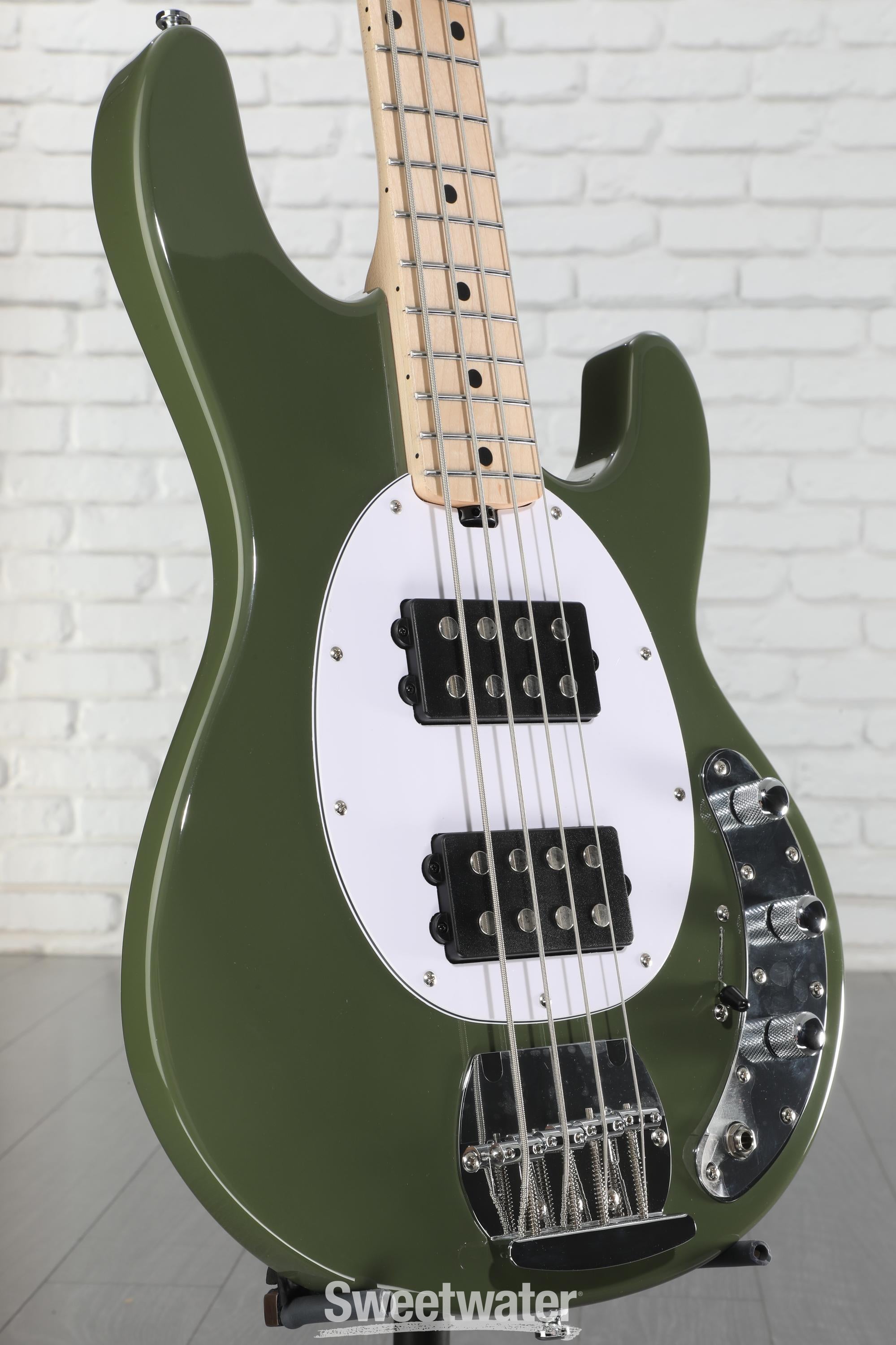 ぴぃーページ Sterling By Music Man StingRay RAY4HH Bass Guitar - Olive