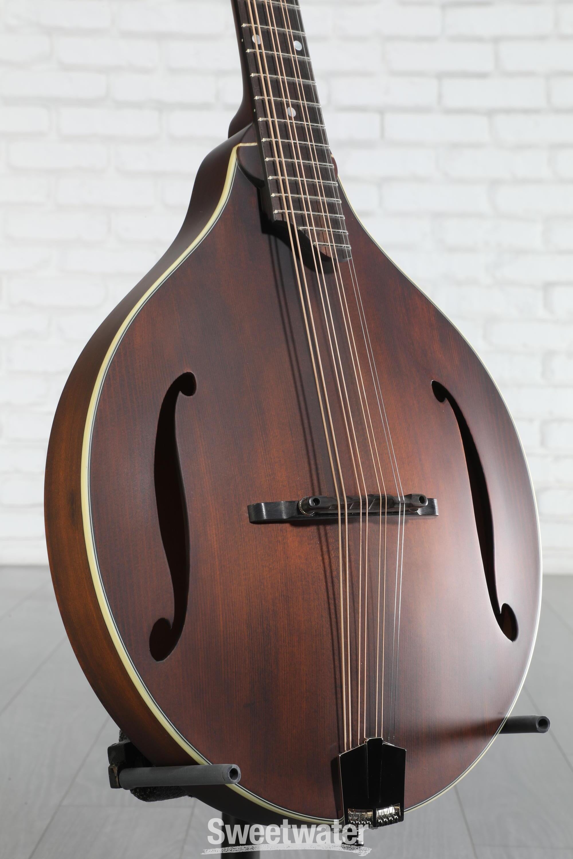 【最終価格】Eastman MDO-305 オクターブマンドリン Buy Eastman MDO305 Octave Mandolin | Ohio – Woodsy's Music