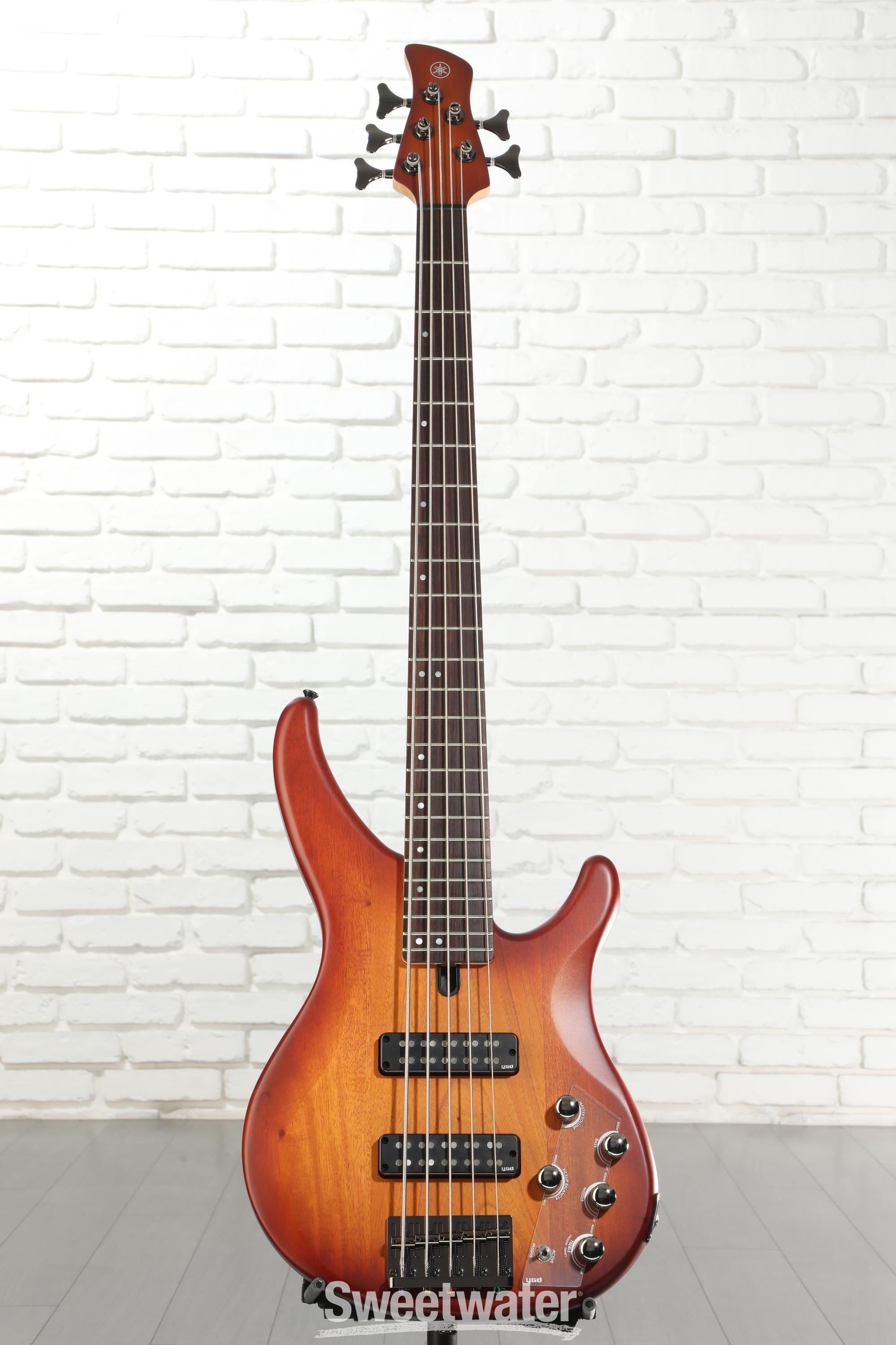 Yamaha TRBX505 5-string Bass Guitar - Brick Burst Reviews | Sweetwater