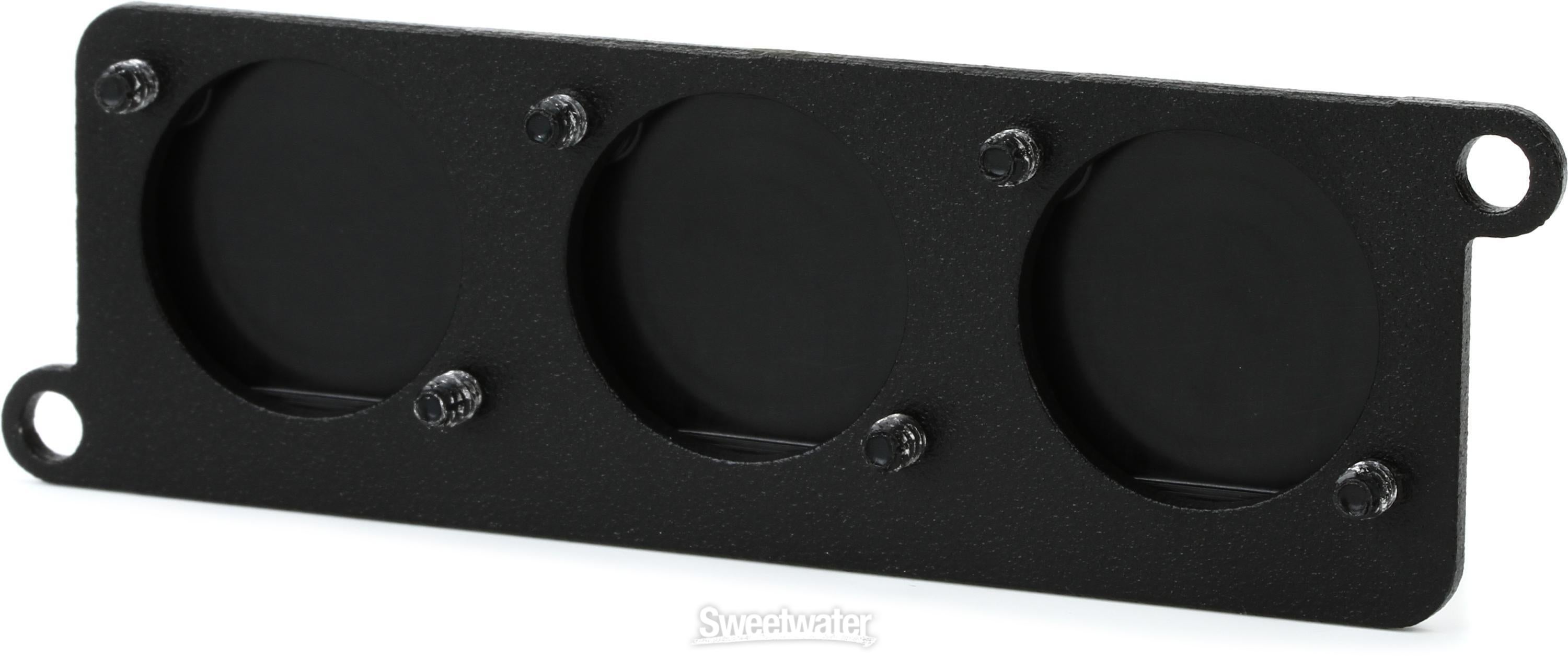 Temple Audio Mini Module Punched Plate | Sweetwater
