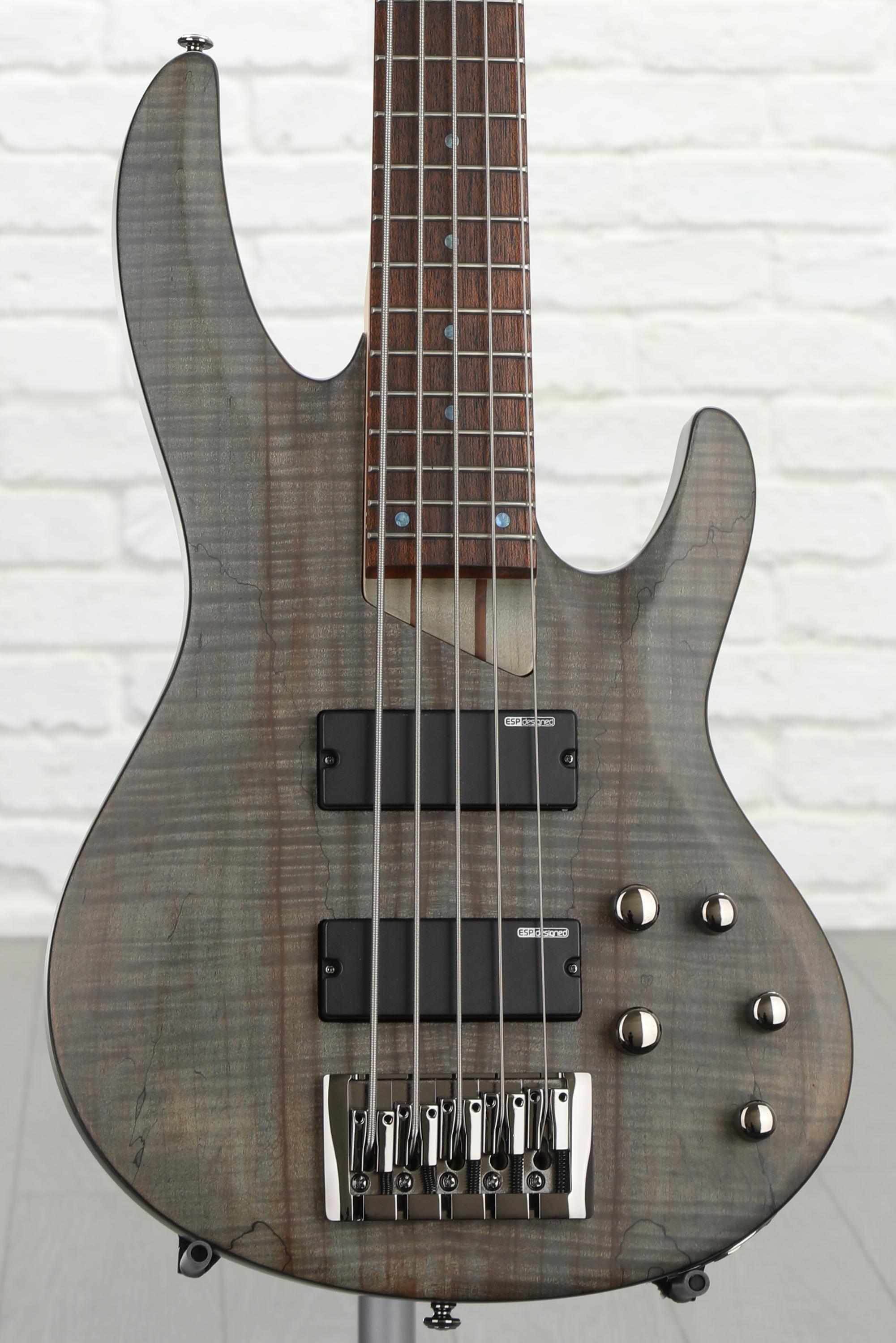 すず　ブラック　b ESP LTD B-205SM 5-string Electric Bass Guitar - See Thru