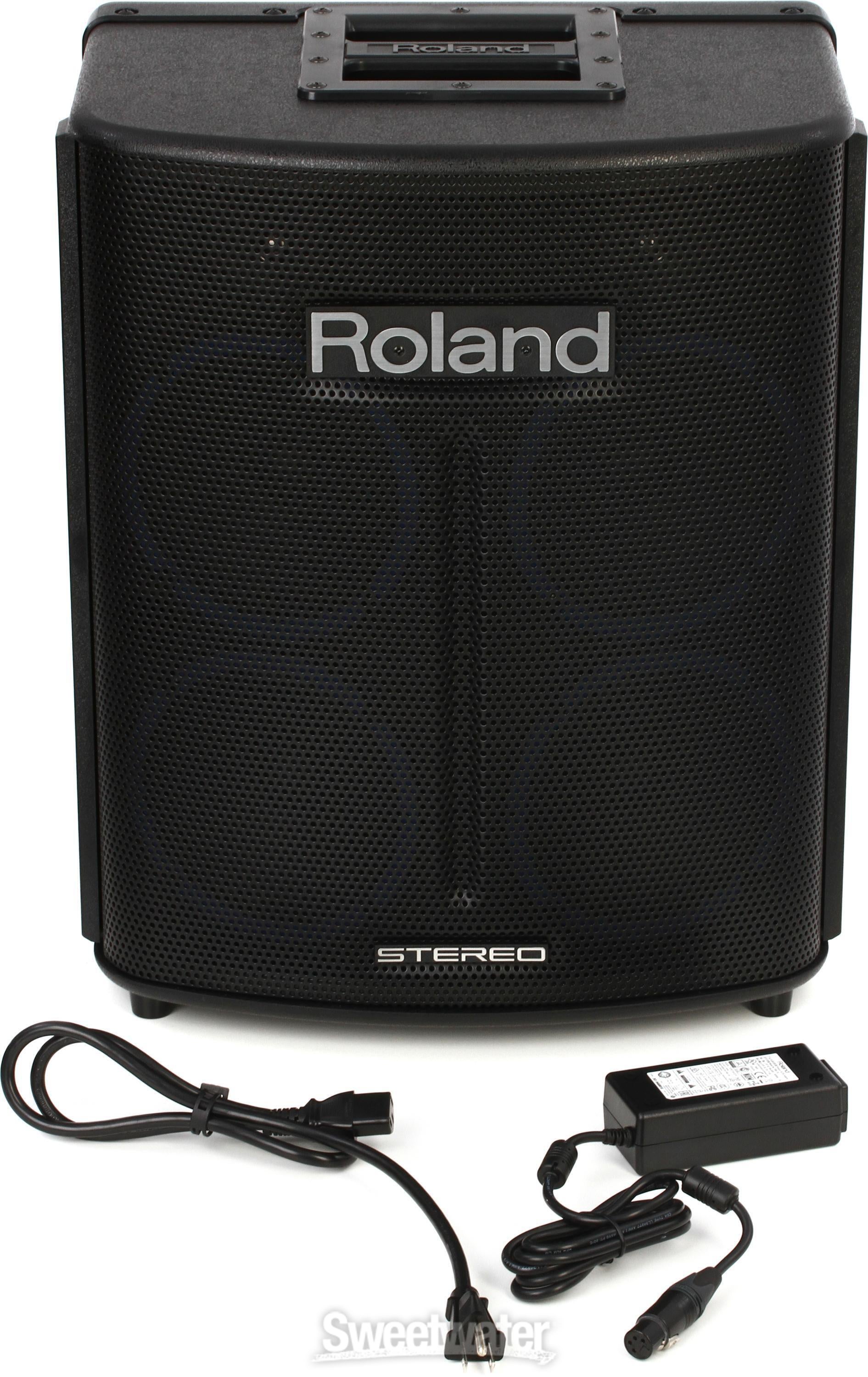 Roland battery hot sale powered speaker