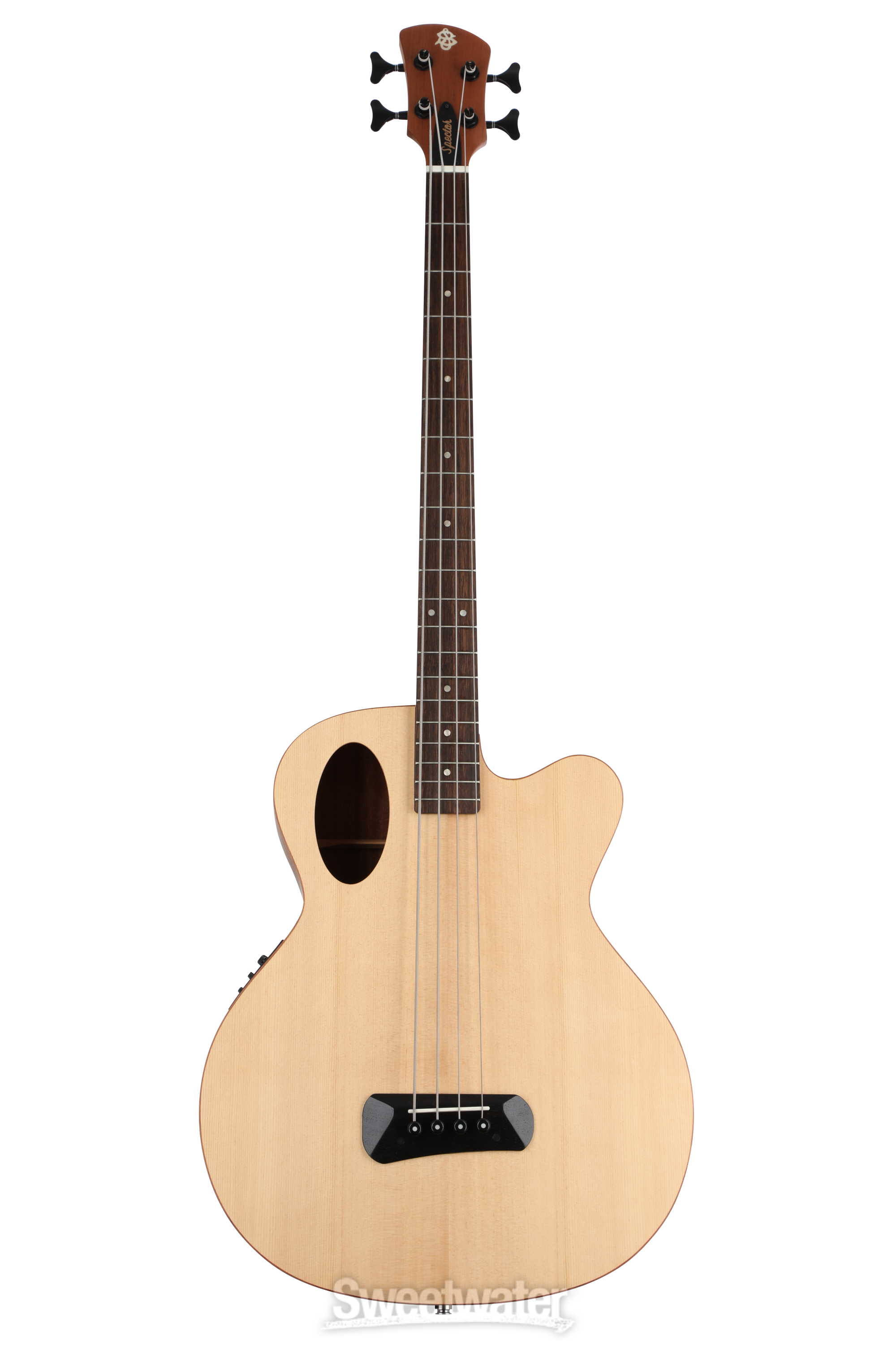 (希少品) Spector Timbre Acoustic Bass 4弦 希少品) Spector Timbre Acoustic Bass 4弦